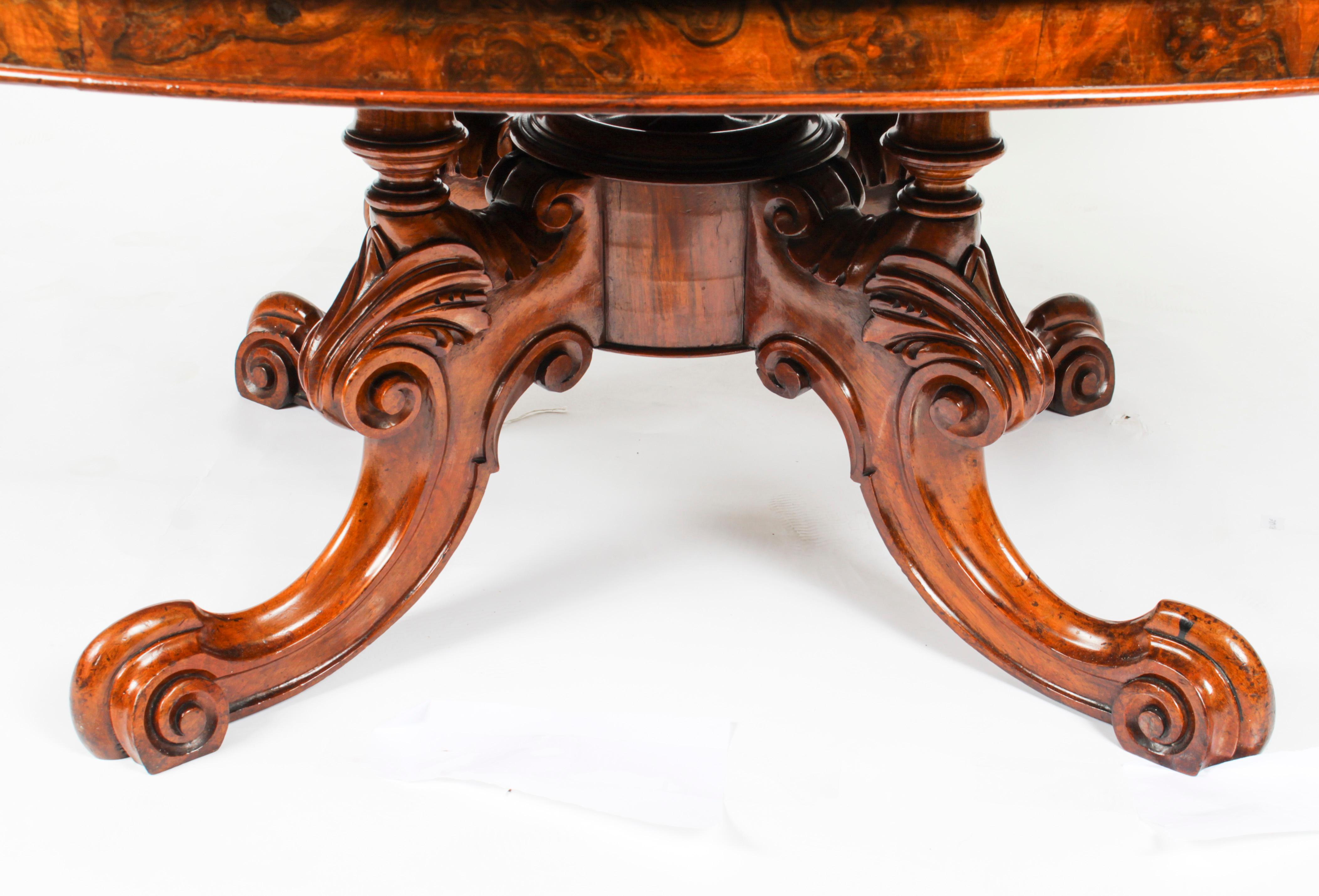 Antique Burr Walnut Oval Coffee Table 19th Century 1