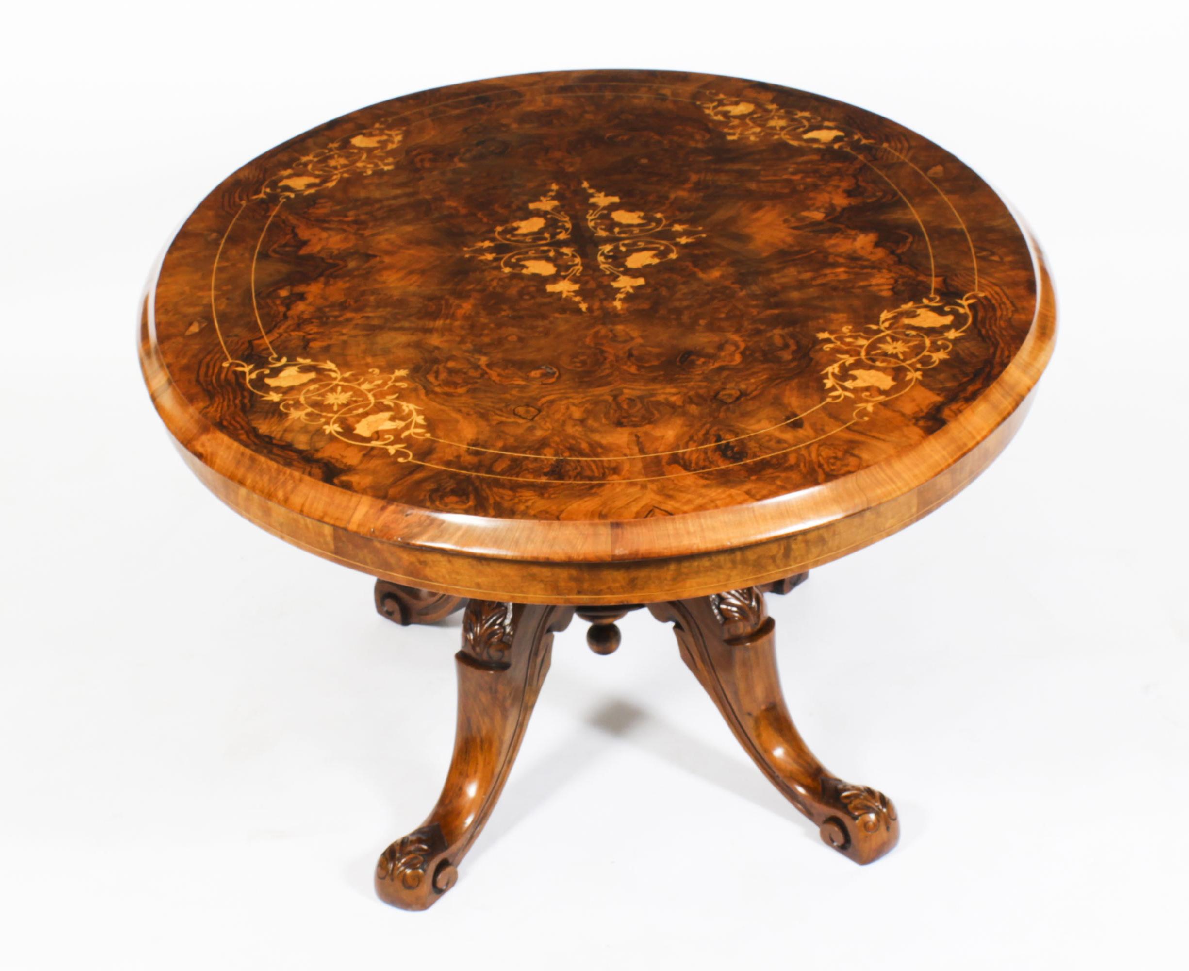 Antique Burr Walnut Oval Coffee Table, 19th Century 3
