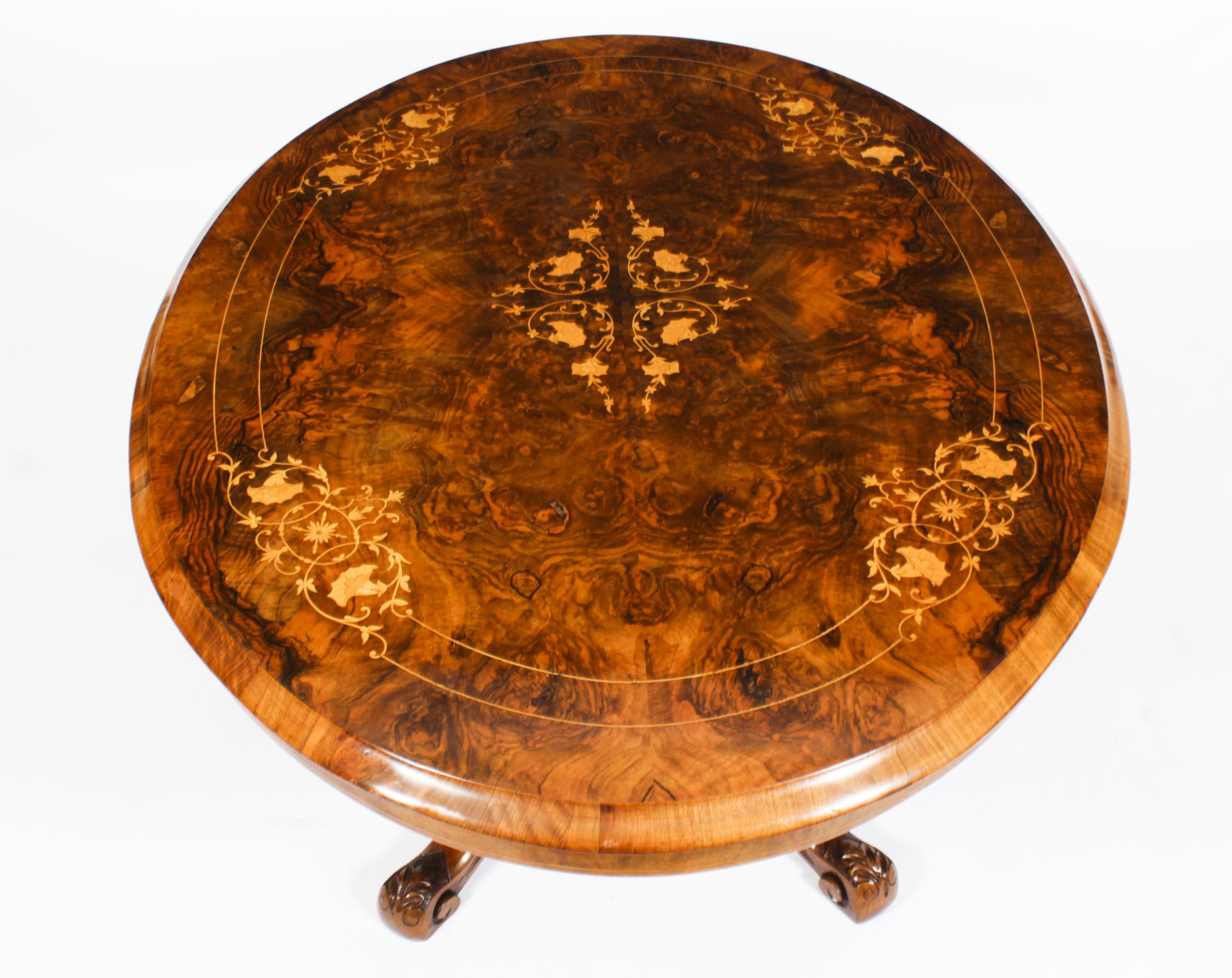 Antique Burr Walnut Oval Coffee Table, 19th Century 4