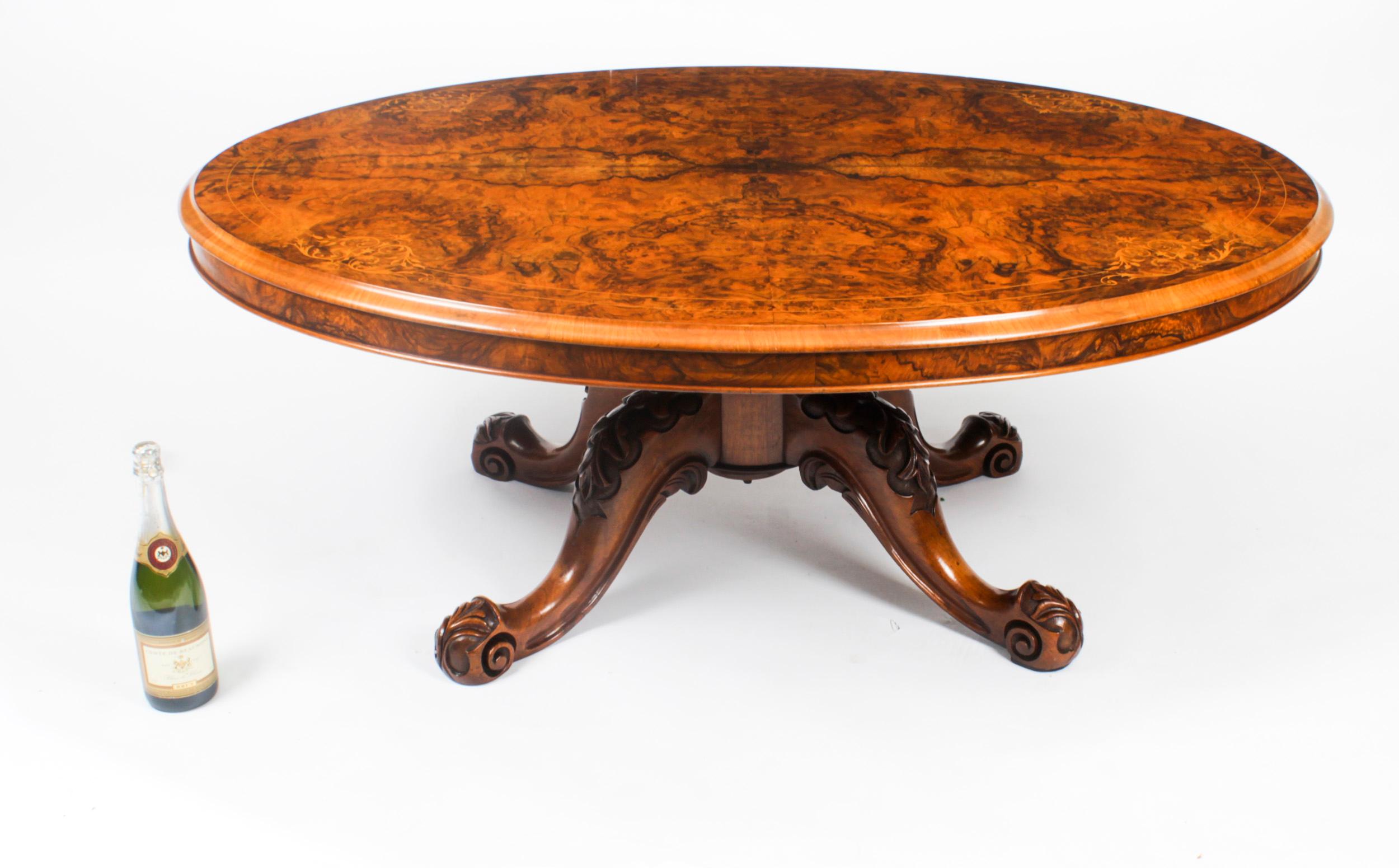 Antique Burr Walnut Oval Coffee Table 19th Century 5