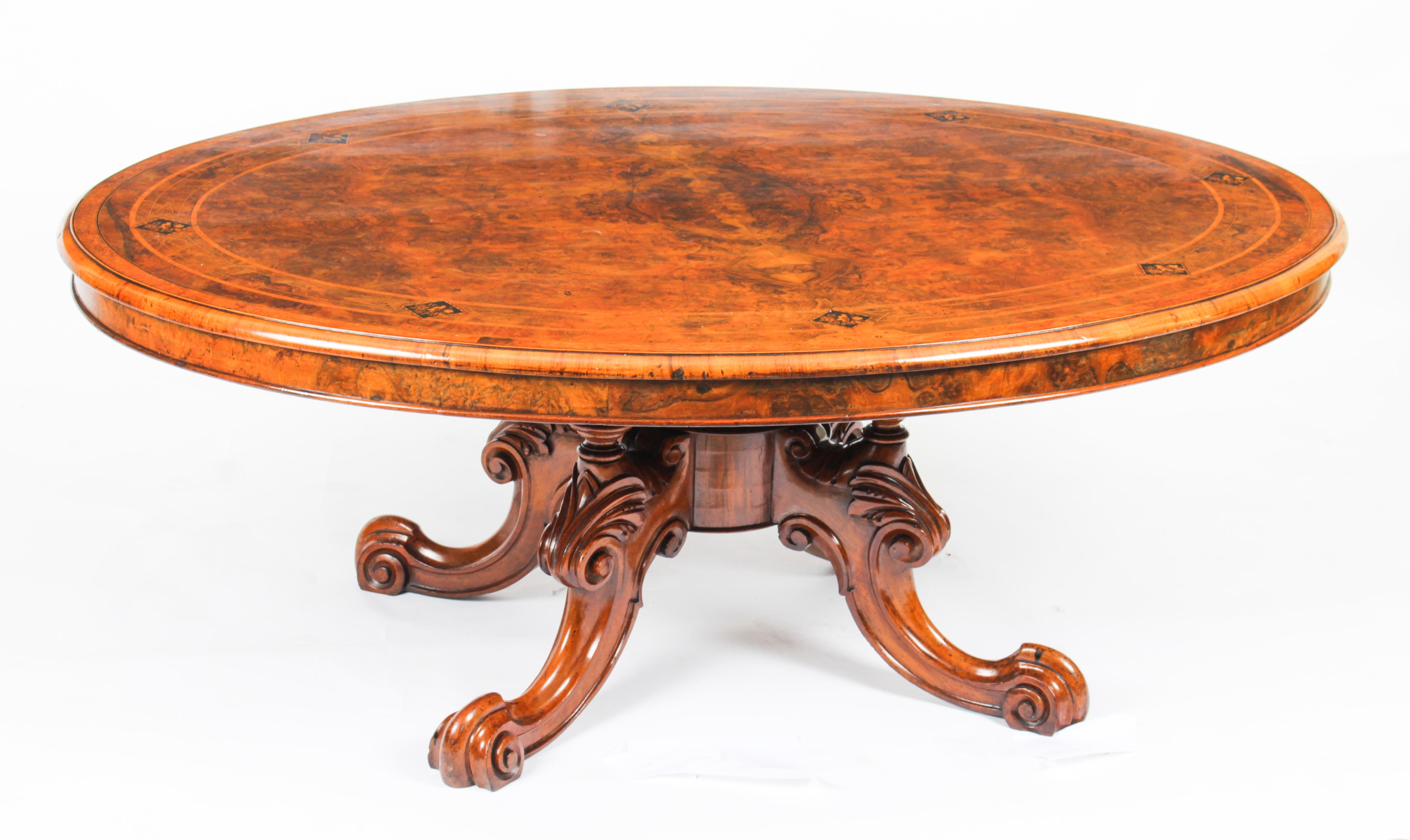 Antique Burr Walnut Oval Coffee Table 19th Century 7