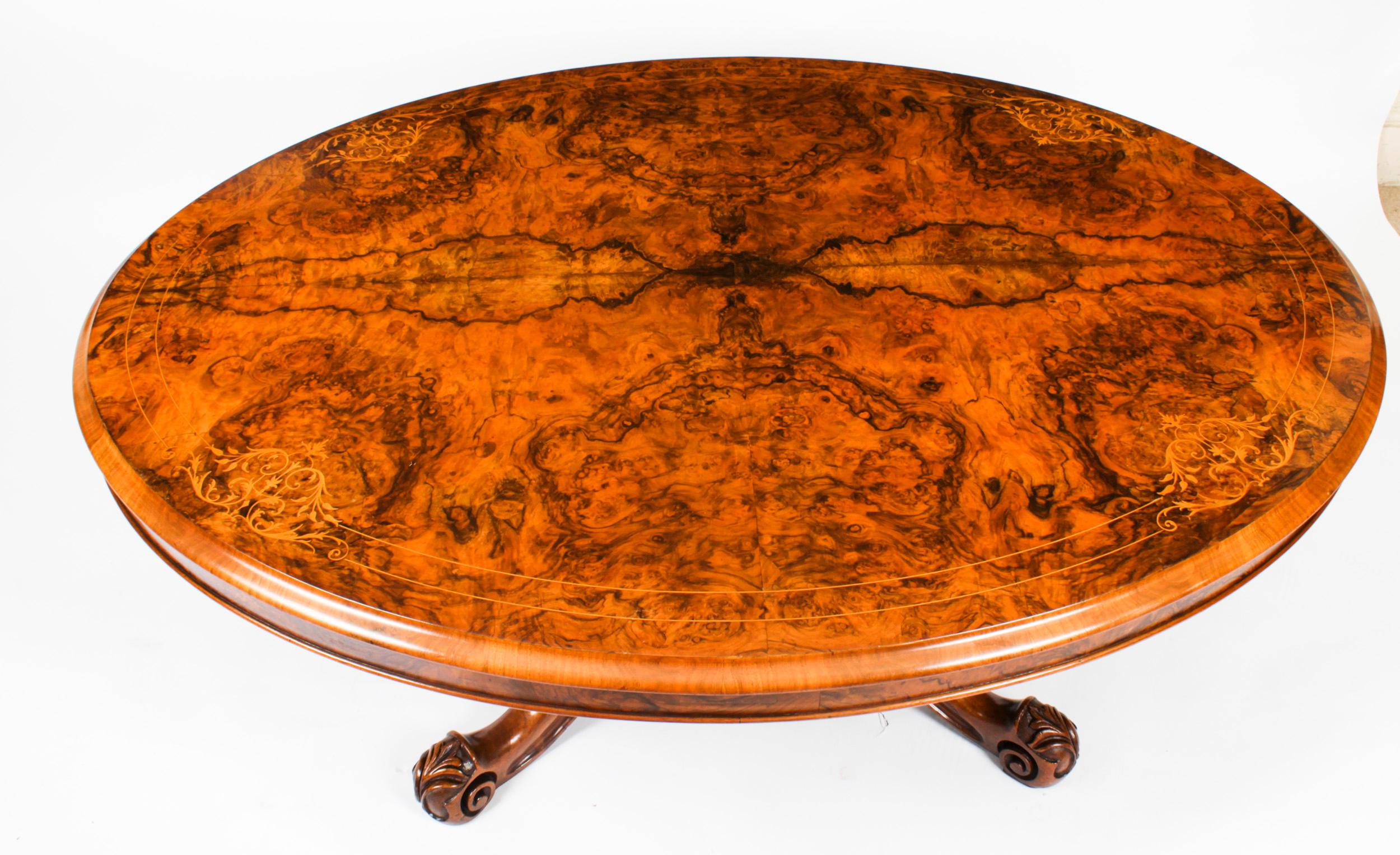 Victorian Antique Burr Walnut Oval Coffee Table 19th Century