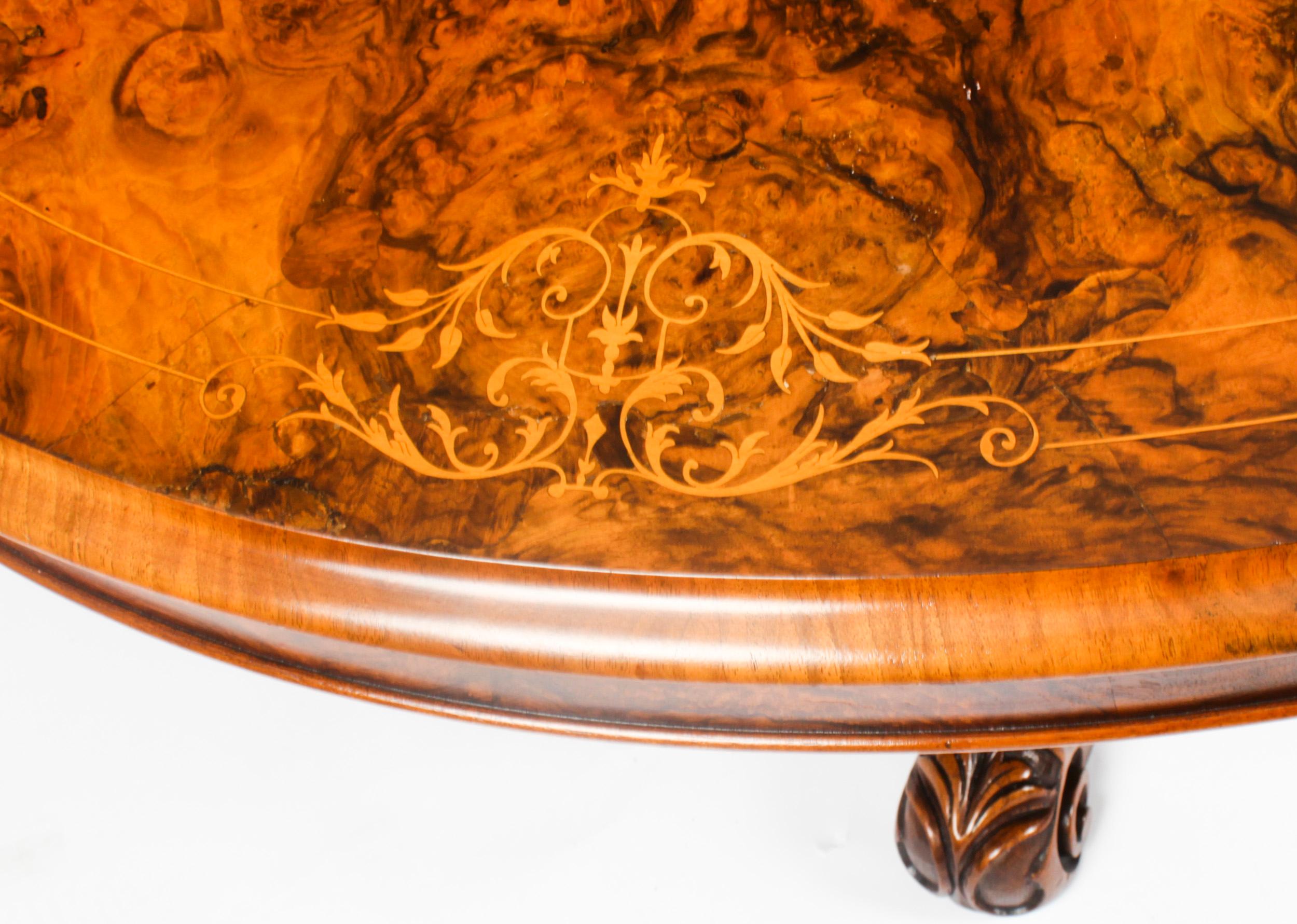 Marquetry Antique Burr Walnut Oval Coffee Table 19th Century