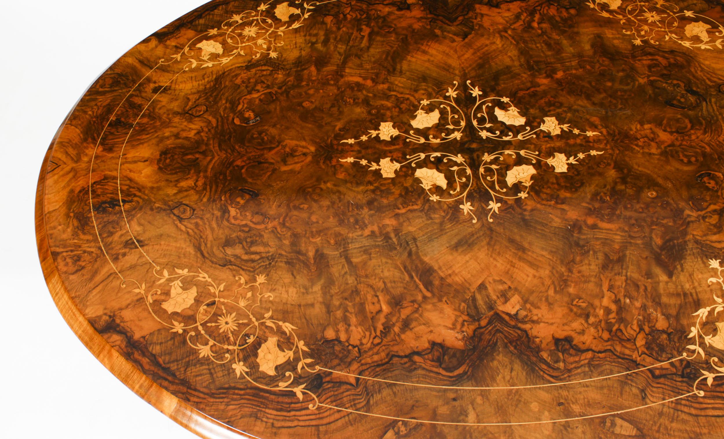 Marquetry Antique Burr Walnut Oval Coffee Table, 19th Century