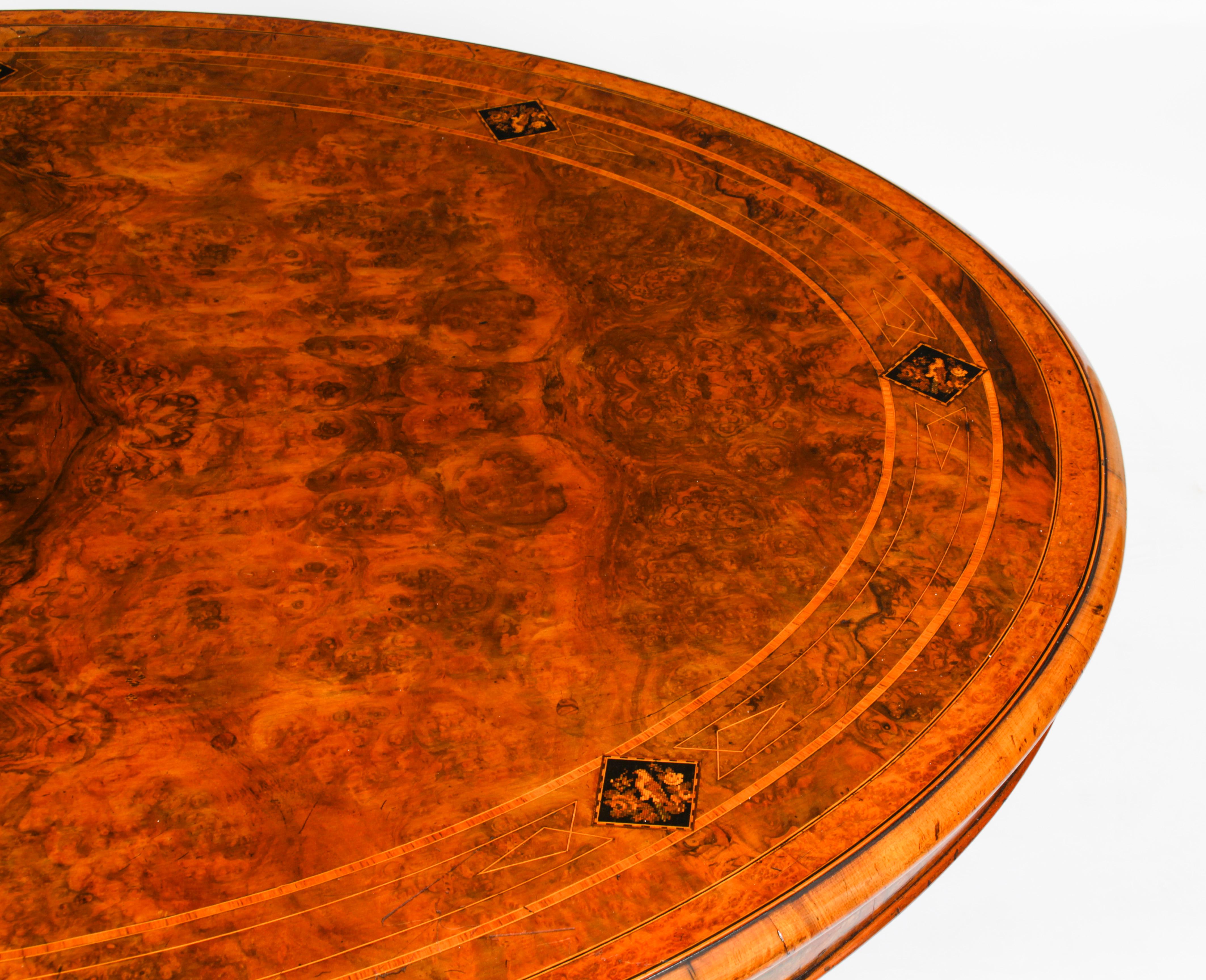 English Antique Burr Walnut Oval Coffee Table 19th Century