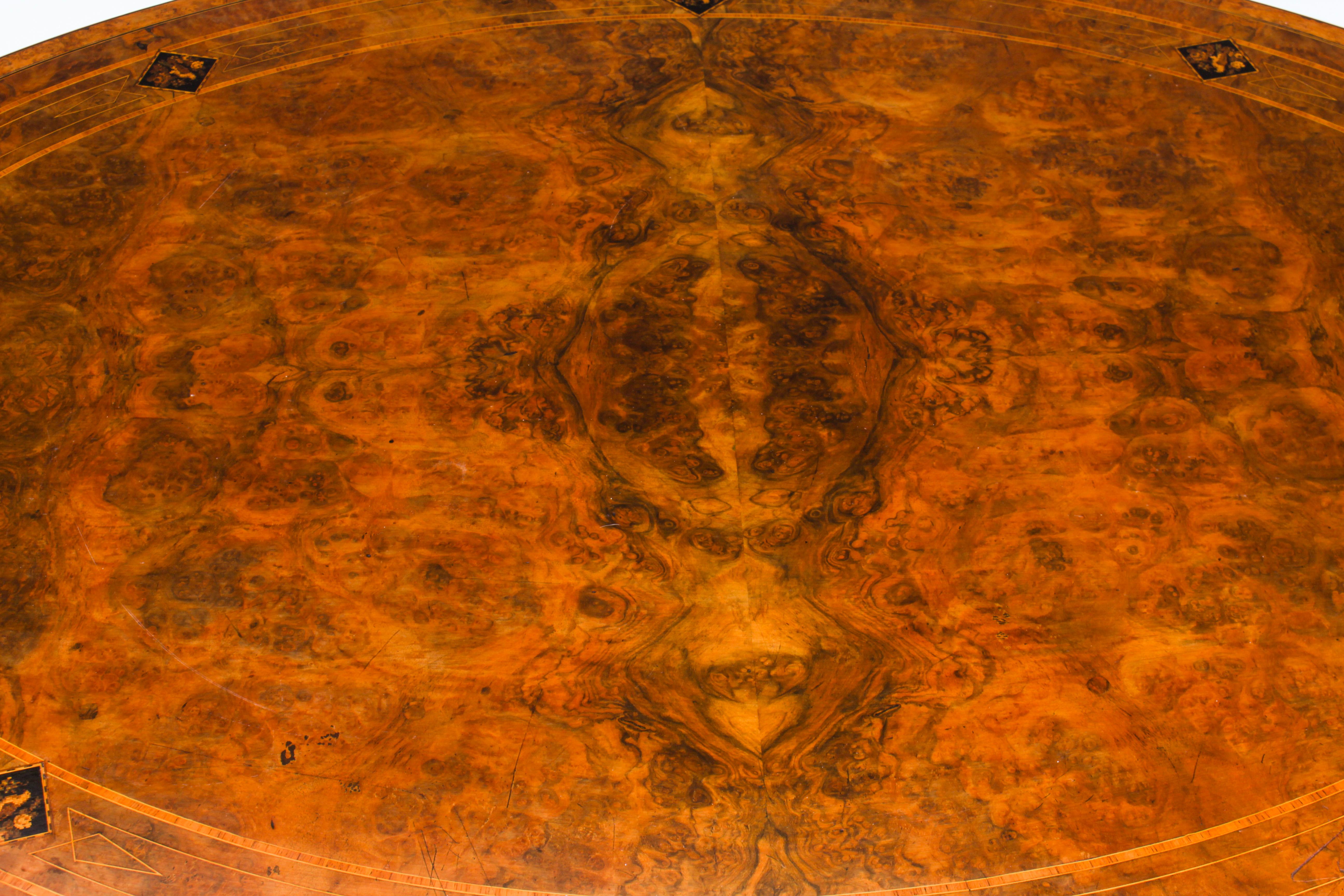 Mid-19th Century Antique Burr Walnut Oval Coffee Table 19th Century