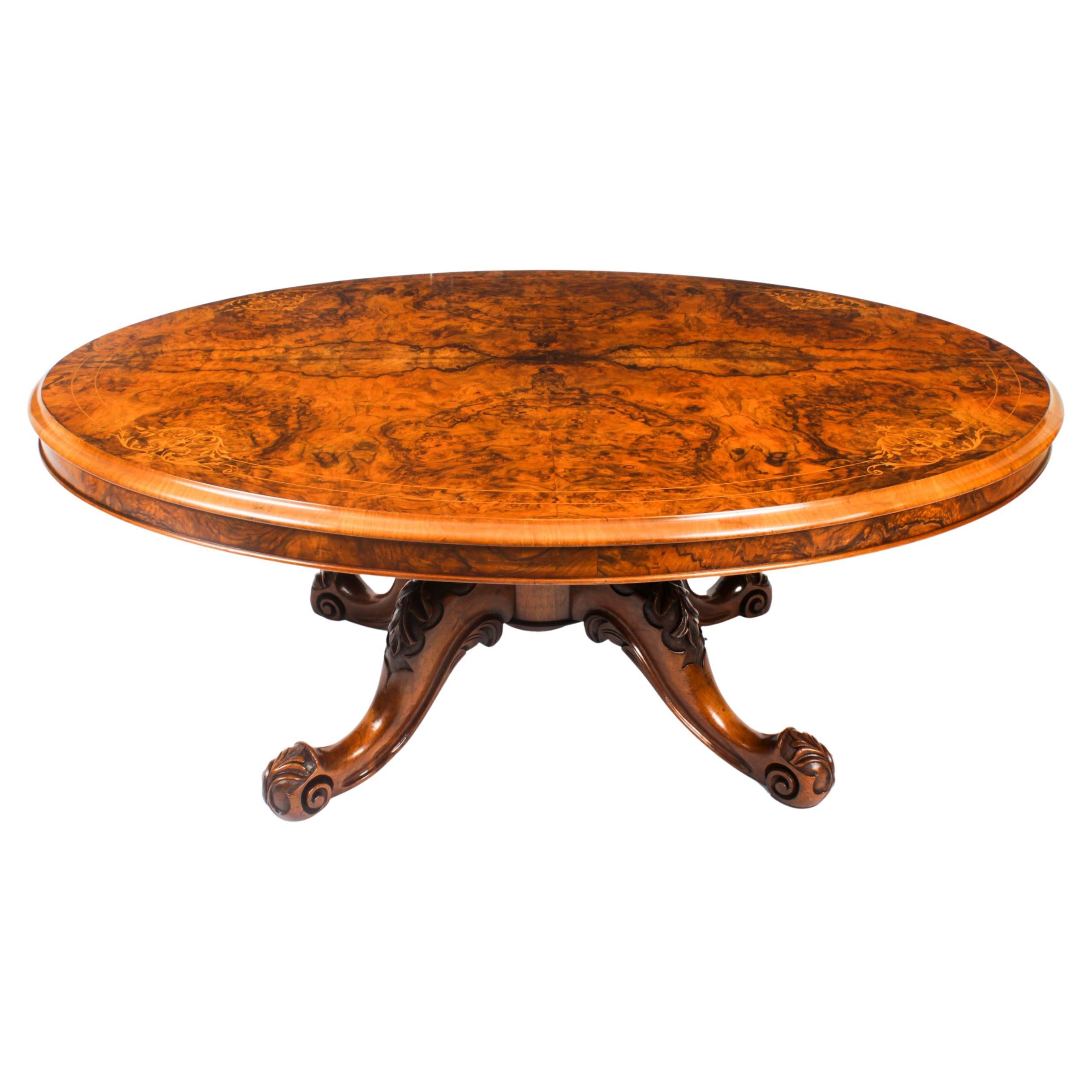 Antique Burr Walnut Oval Coffee Table 19th Century