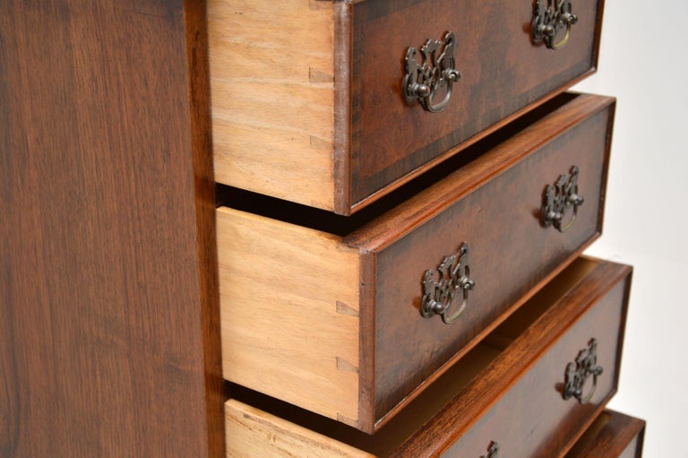 Antique Burr Walnut Tall Boy Chest of Drawers at 1stDibs
