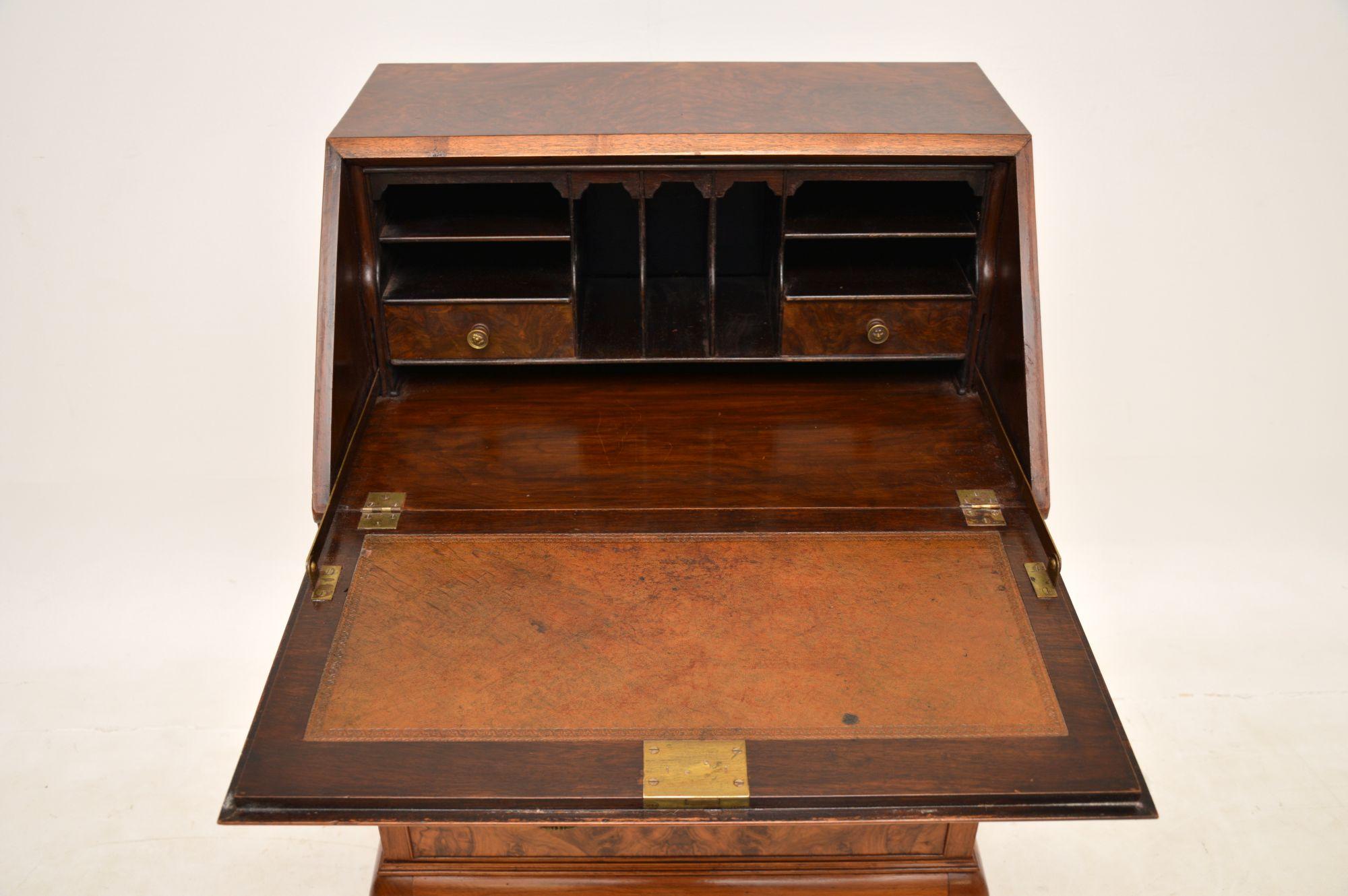 Early 20th Century Antique Burr Walnut Writing Bureau by Maple & Co.