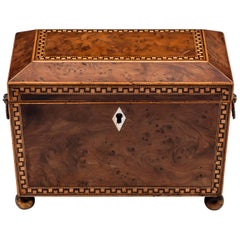Antique Burr Yew Brass Twin Tea Caddy Greek Key Banding 19th Century