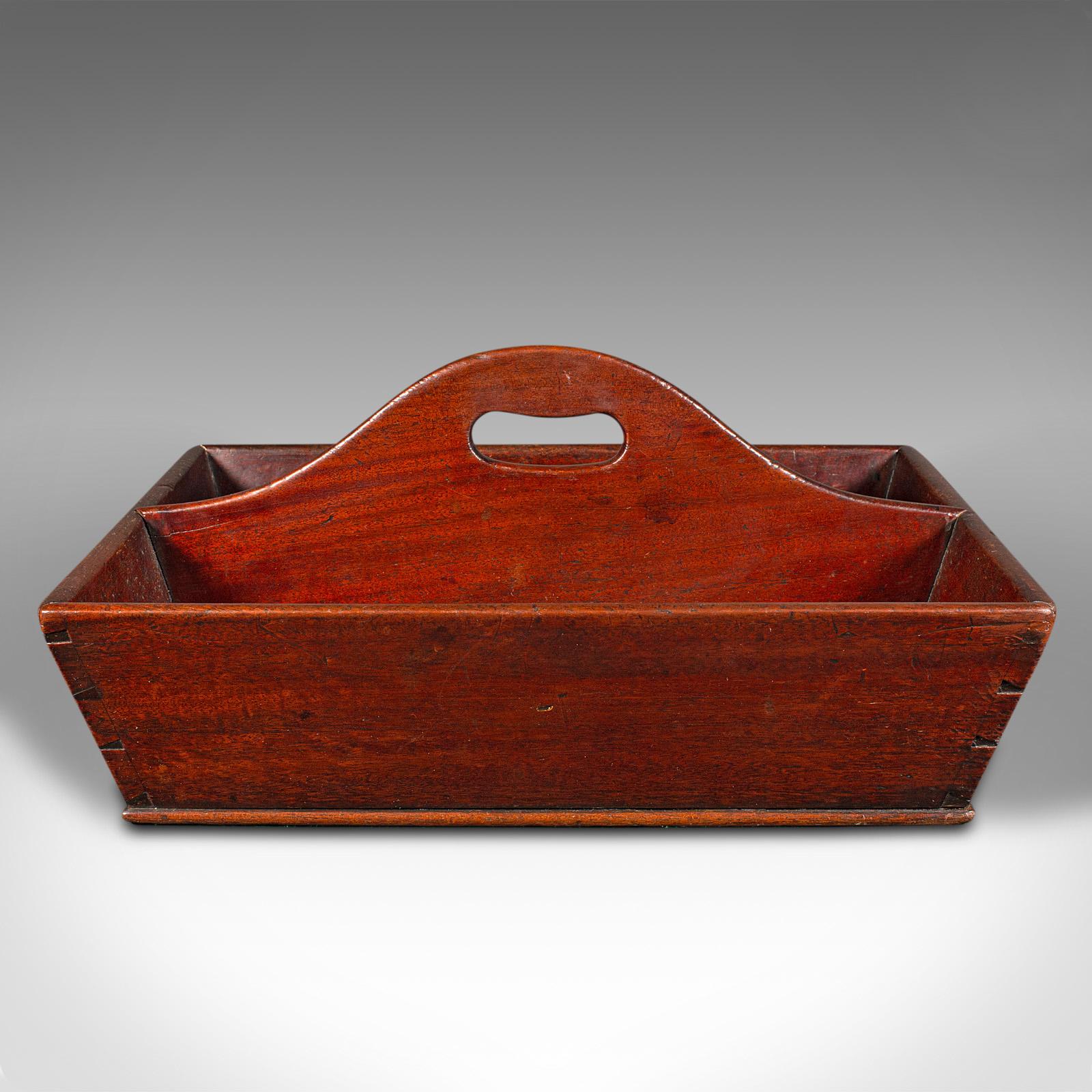 British Antique Butler's Duties Trug, English, Two Division Cutlery Tray, Georgian, 1800 For Sale