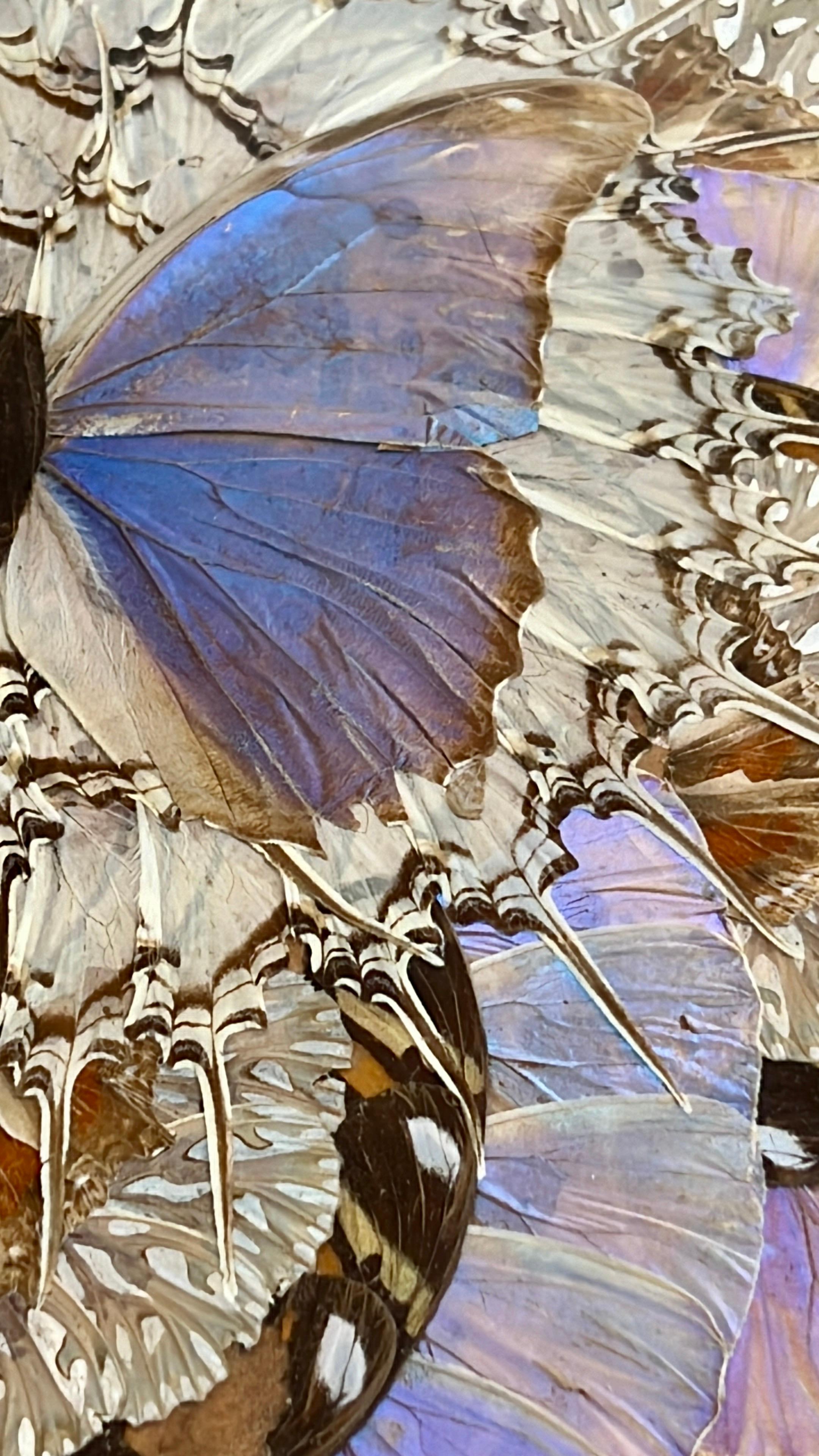 Preciosa bandeja antigua con mariposas

Esta exquisita bandeja antigua muestra un asombroso diseño geométrico creado bajo cristal, con alas de mariposa cuidadosamente dispuestas, vibrantes y exóticas. El intrincado trabajo artesanal da como