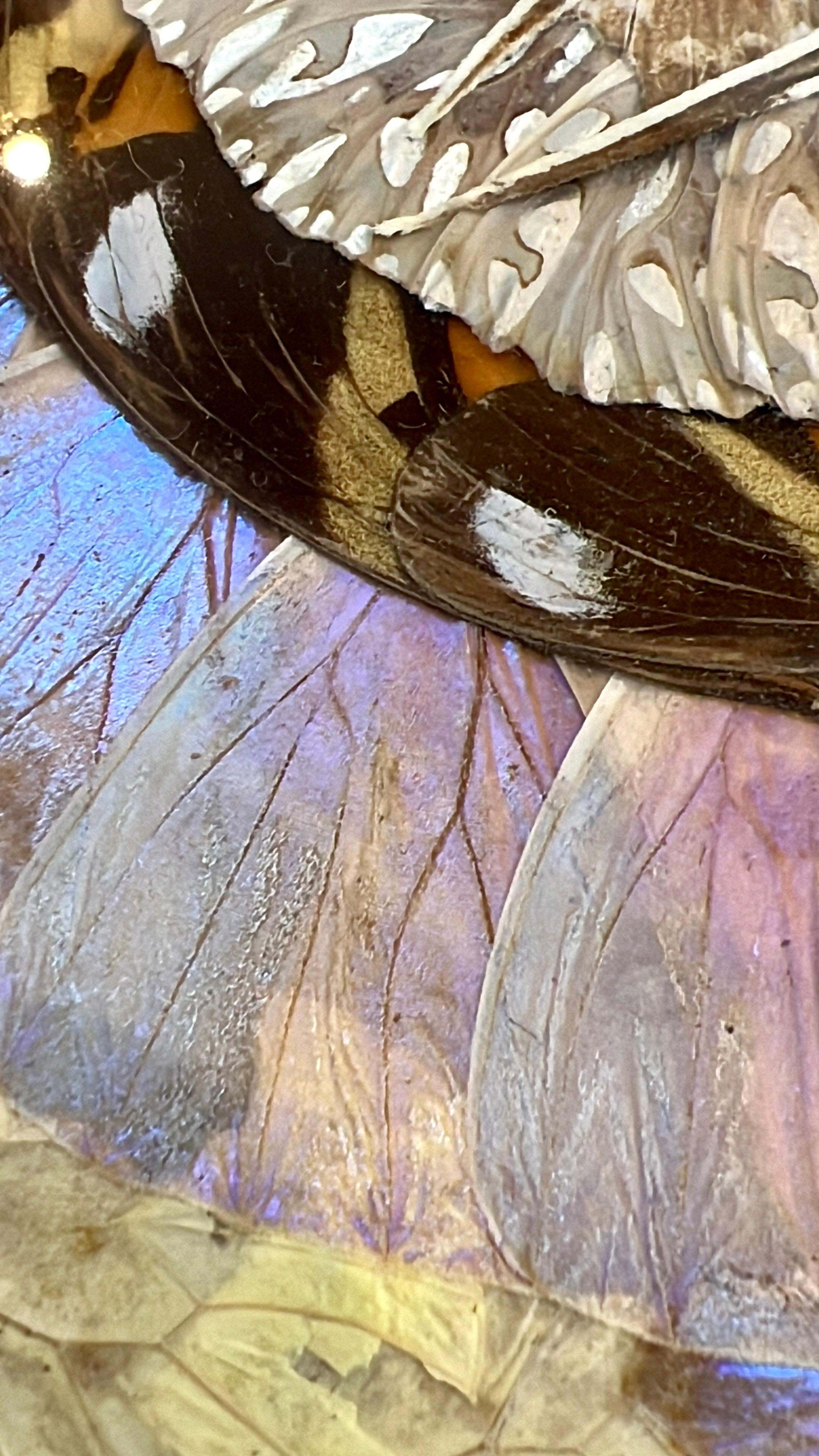 Bandeja Mariposa Antigua Art Nouveau en venta