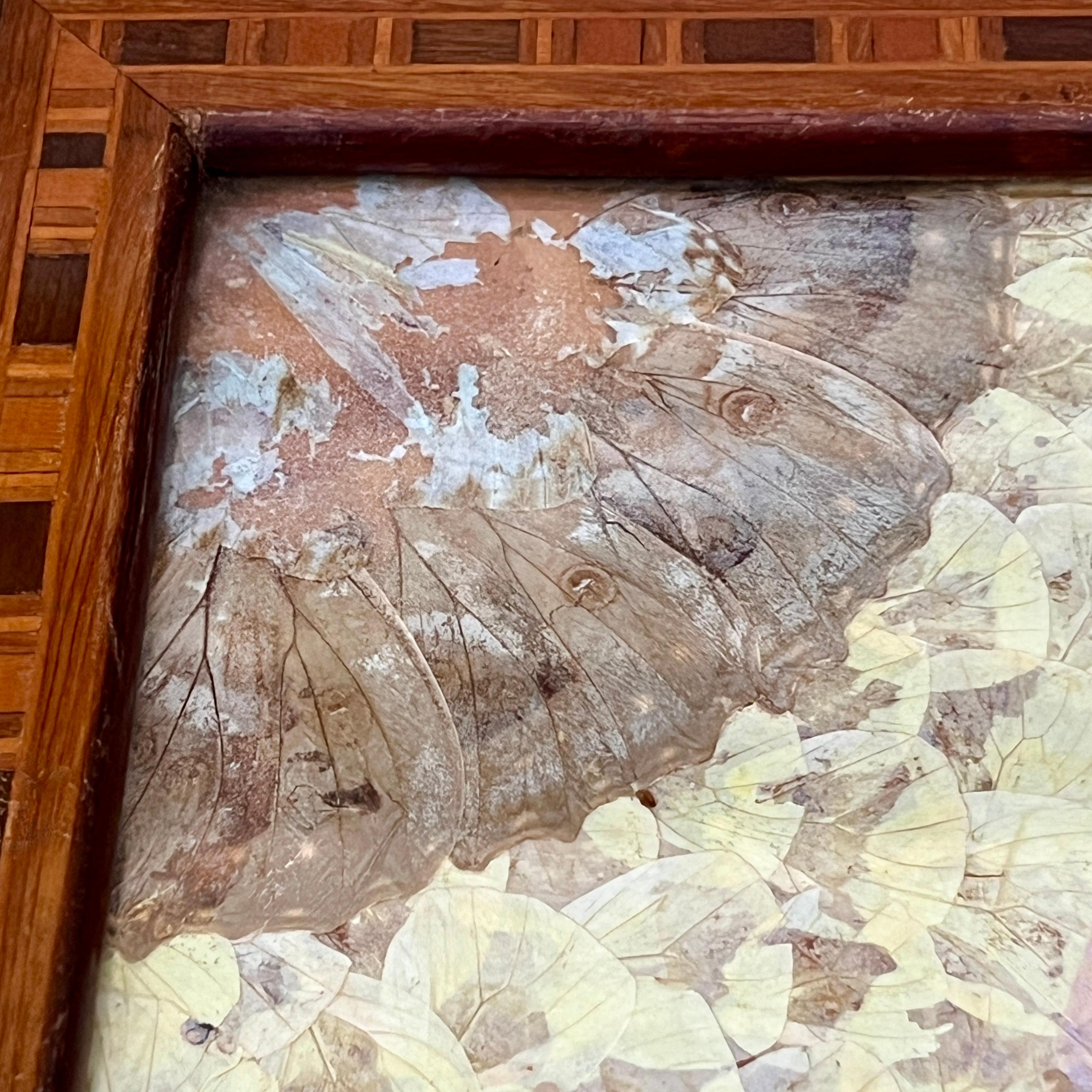 Bandeja Mariposa Antigua Boj en venta