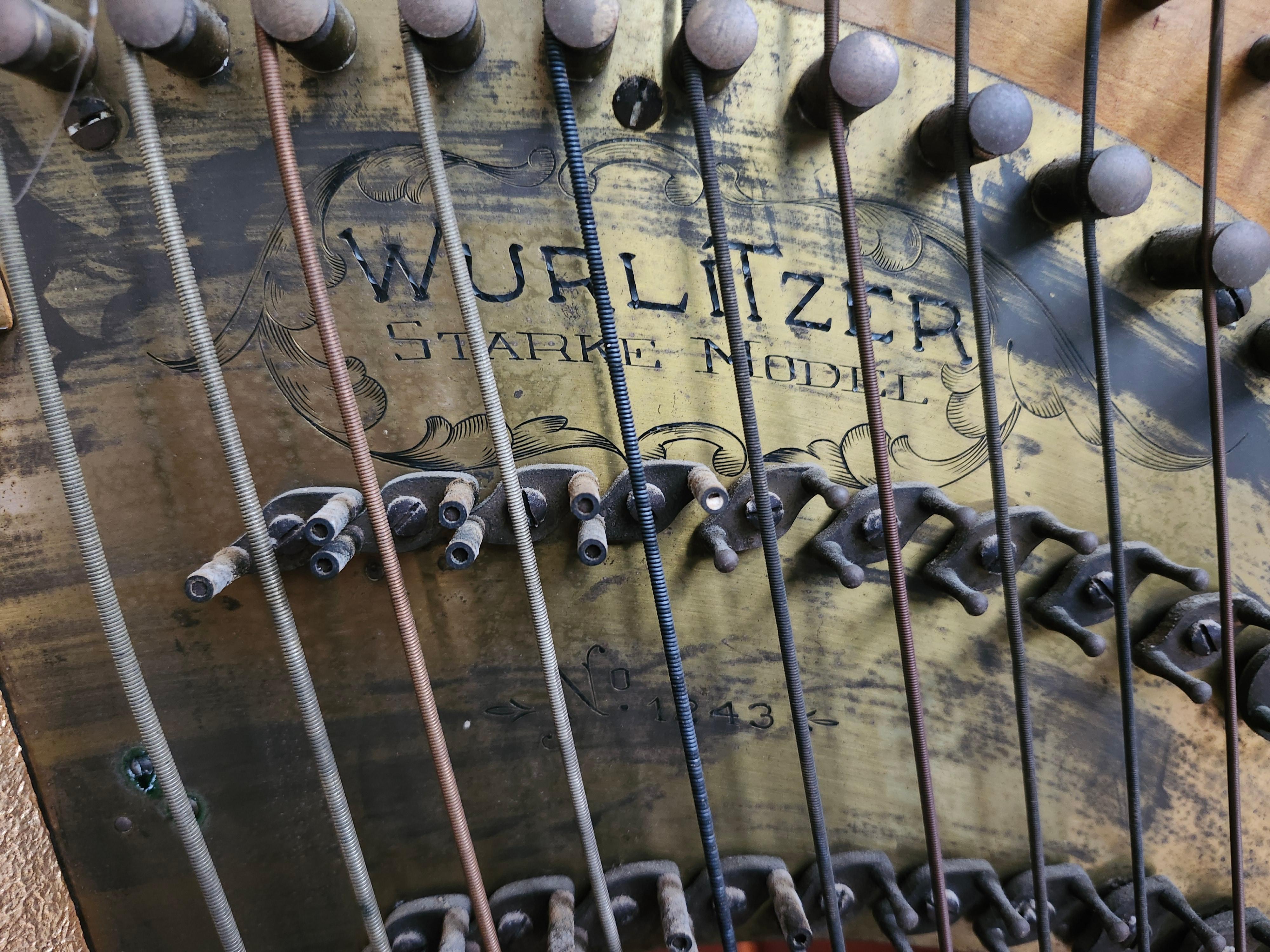 Antique Harp C1920 Rudolph Wurlitzer Gilt W Birdeye Maple & Inlay Starke Model For Sale 13