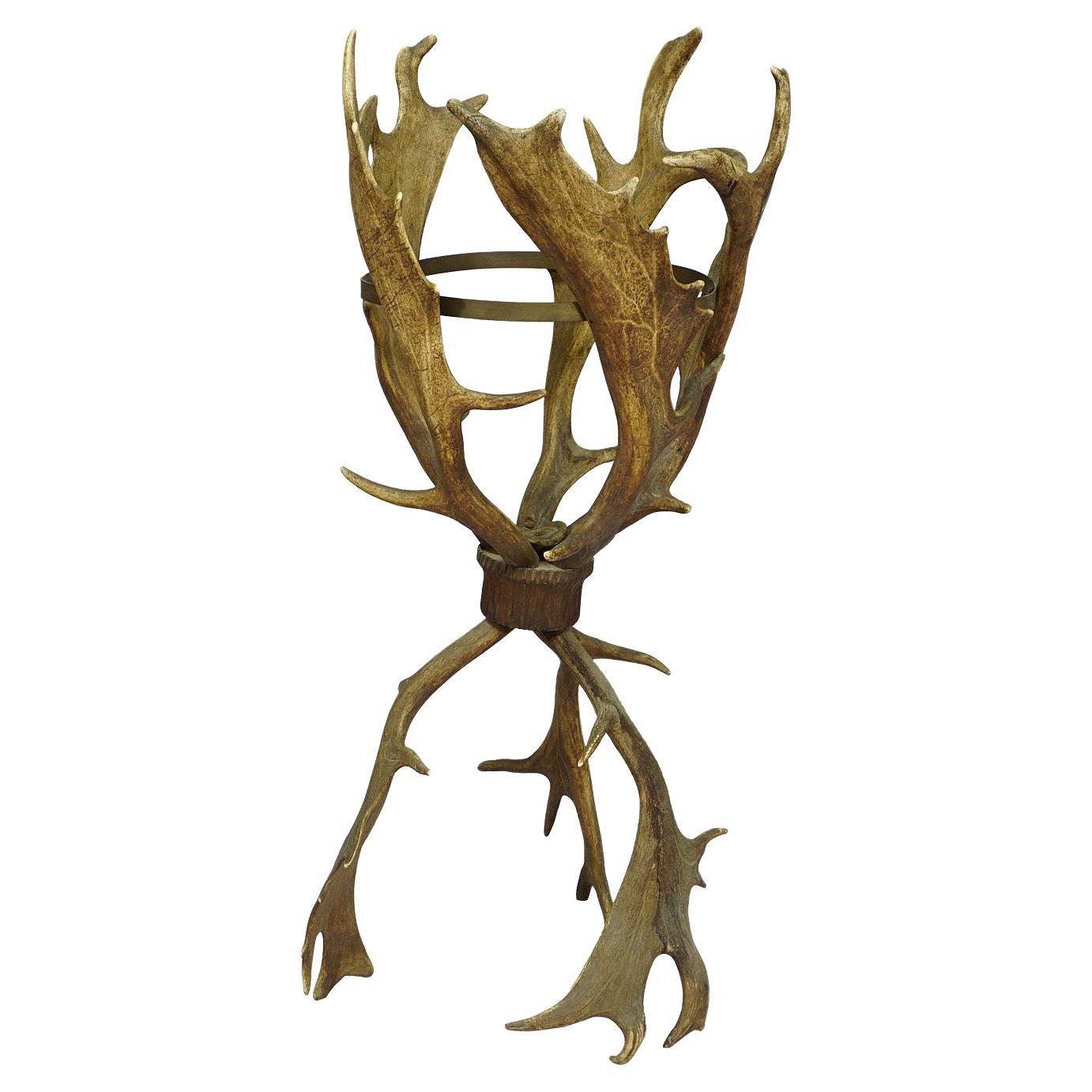 What are fallow deer antlers called?