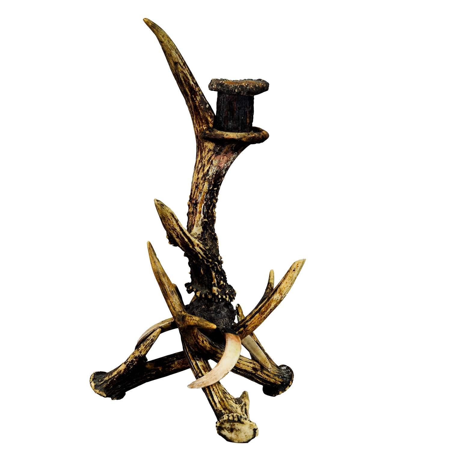 A rustic candle holder, made of antlers from the deer decorated with wild boar tusks. The spout is made of turned antler pieces. It is executed in Germany, Black Forest circa 1890. A nice rustic decoration for a desk or mantle in your log
