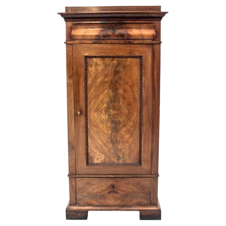 Antique Cabinet, Northern Europe, Late 19th Century For Sale