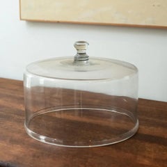 Antique Cake Dome