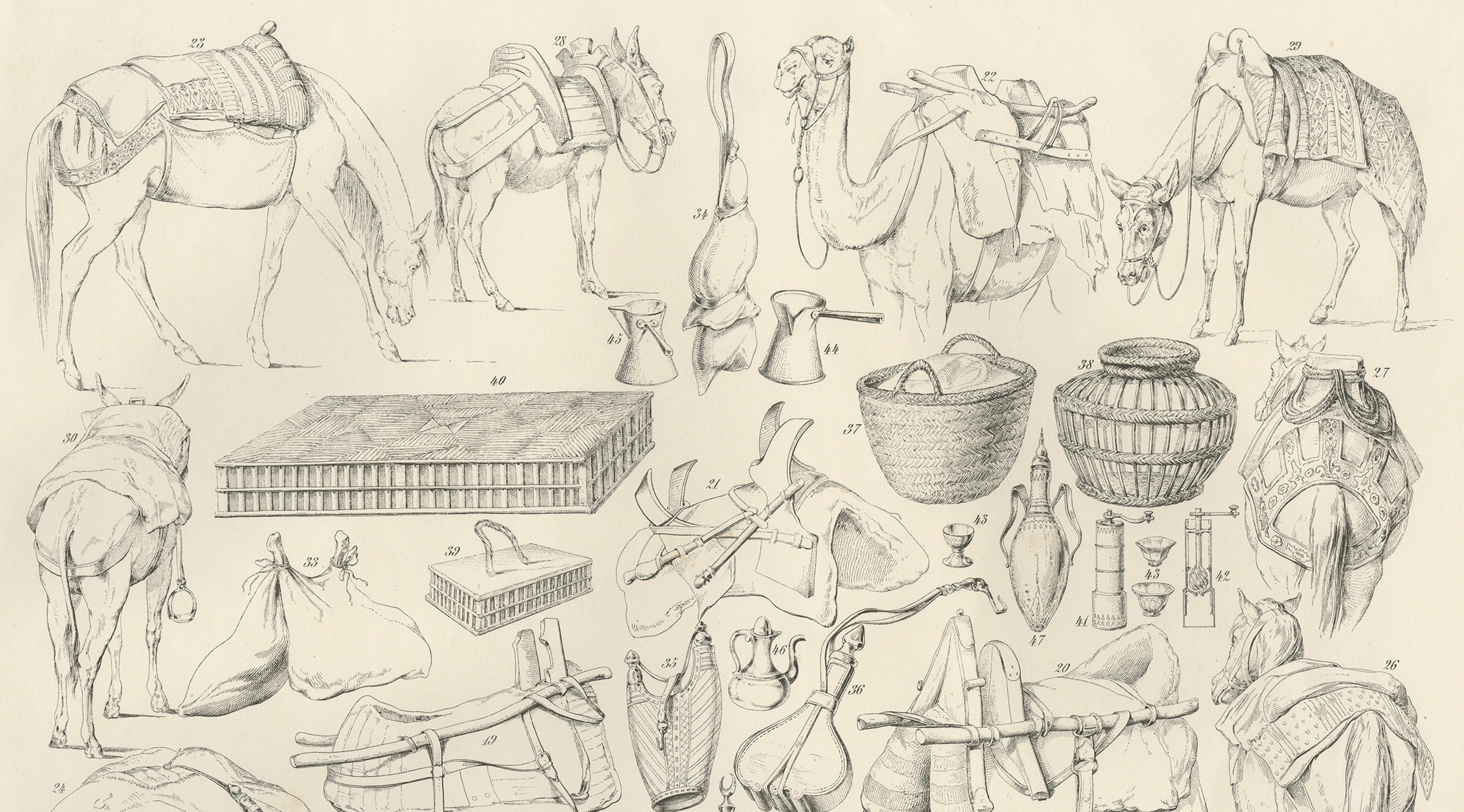 Antique Camel & Caravan Equipment Studies from Maximilian in Bavaria, 1846