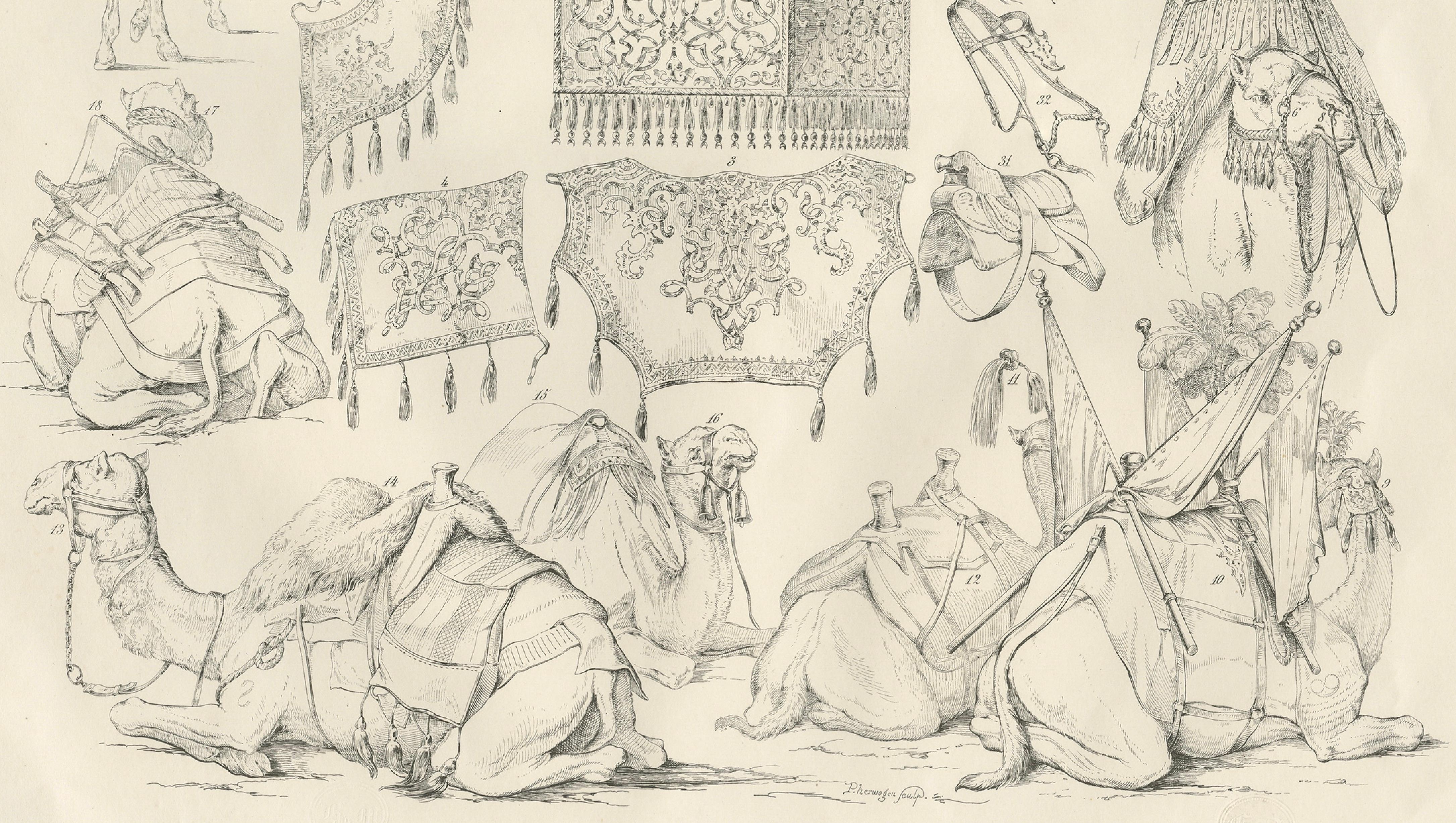 Antique Camel & Caravan Equipment Studies from Maximilian in Bavaria, 1846