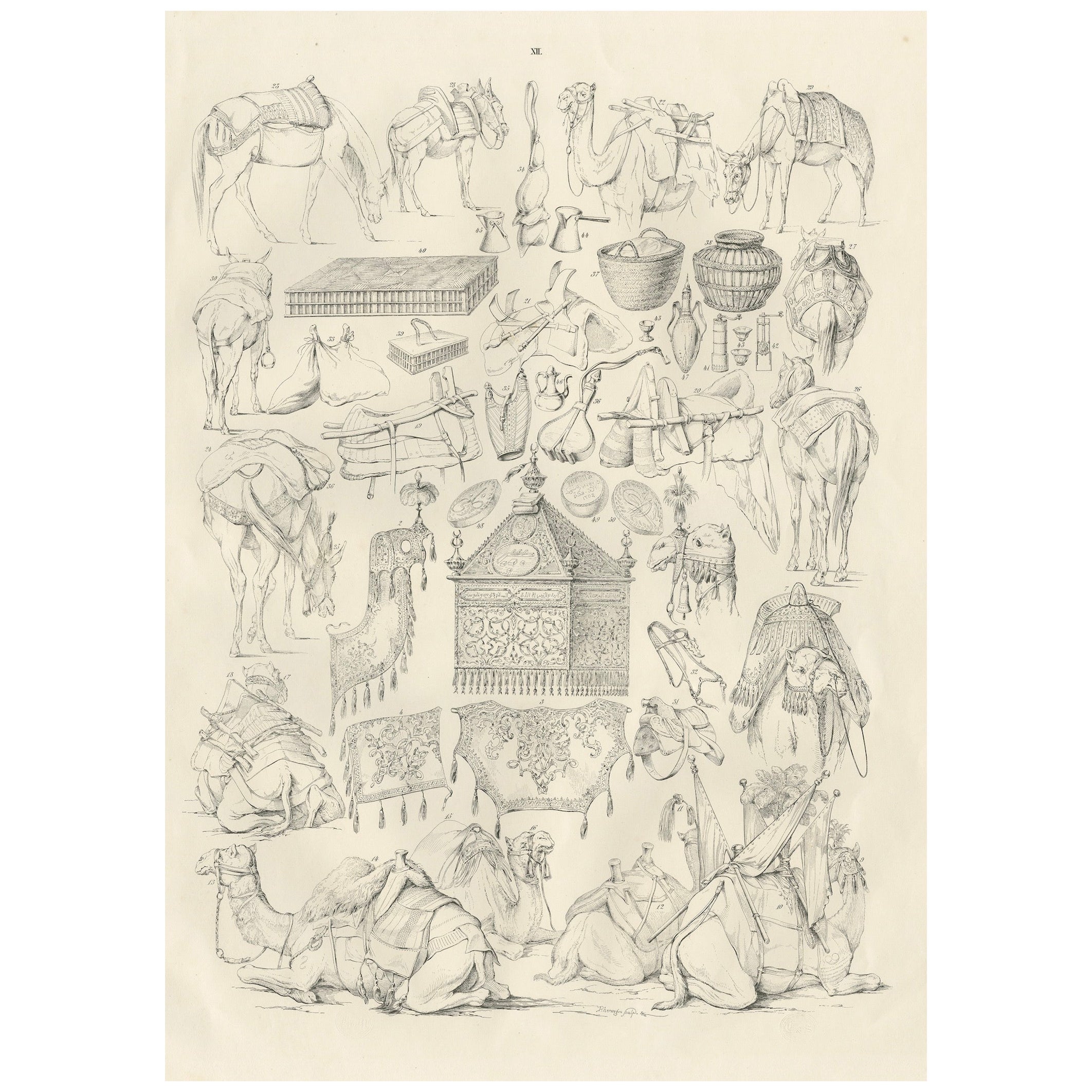 Antique Camel 
Caravan Equipment Studies from Maximilian in Bavaria, 1846 For Sale