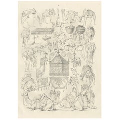 Antique Camel & Caravan Equipment Studies from Maximilian in Bavaria, 1846