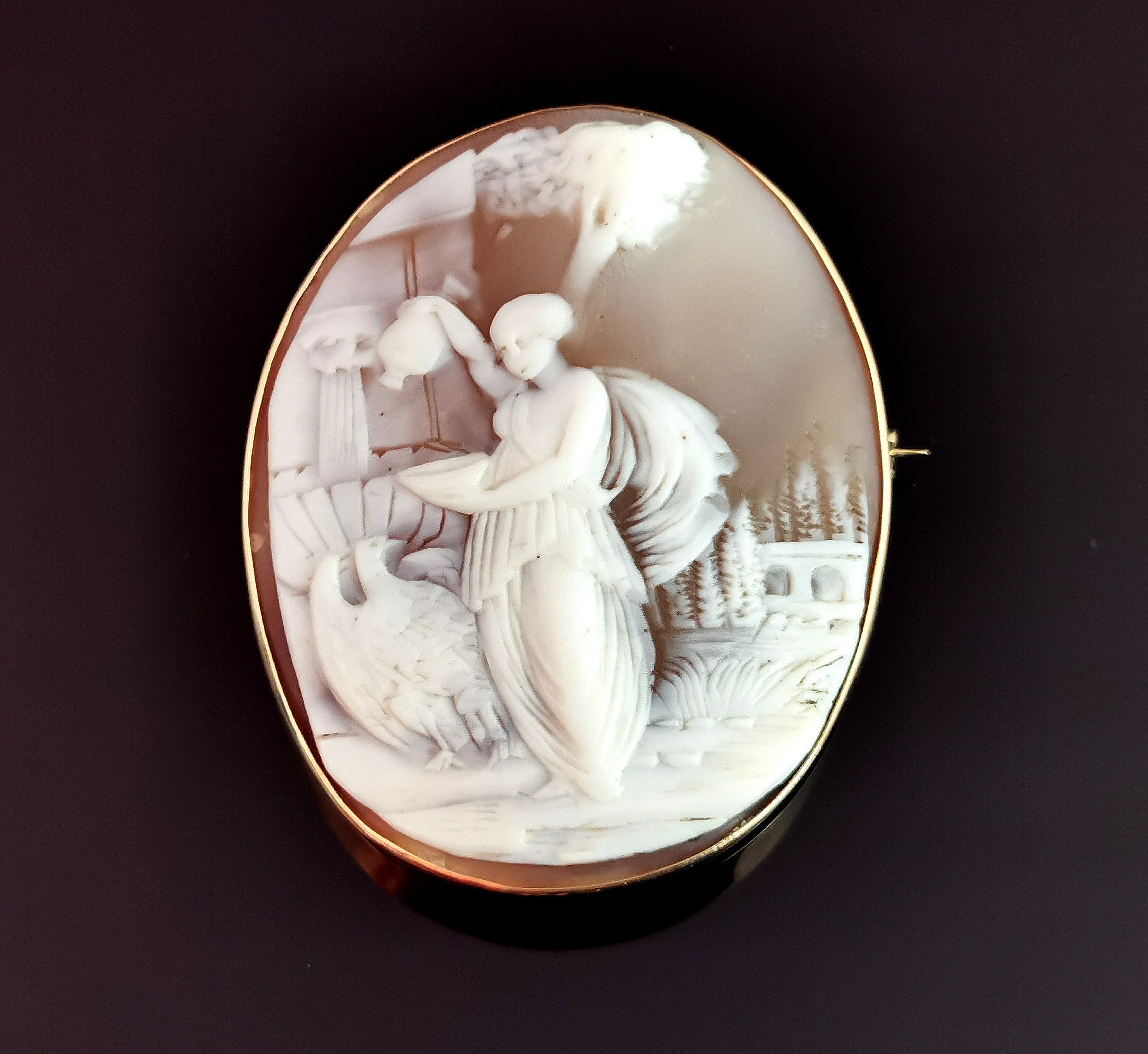 An attractive antique Edwardian era 9kt gold cameo brooch.

A finely carved bullmouth shell cameo depicting Hebe feeding nectar to the eagle, housed in a later 9kt yellow gold frame.

An unusual subject matter, it is always a pleasure to find