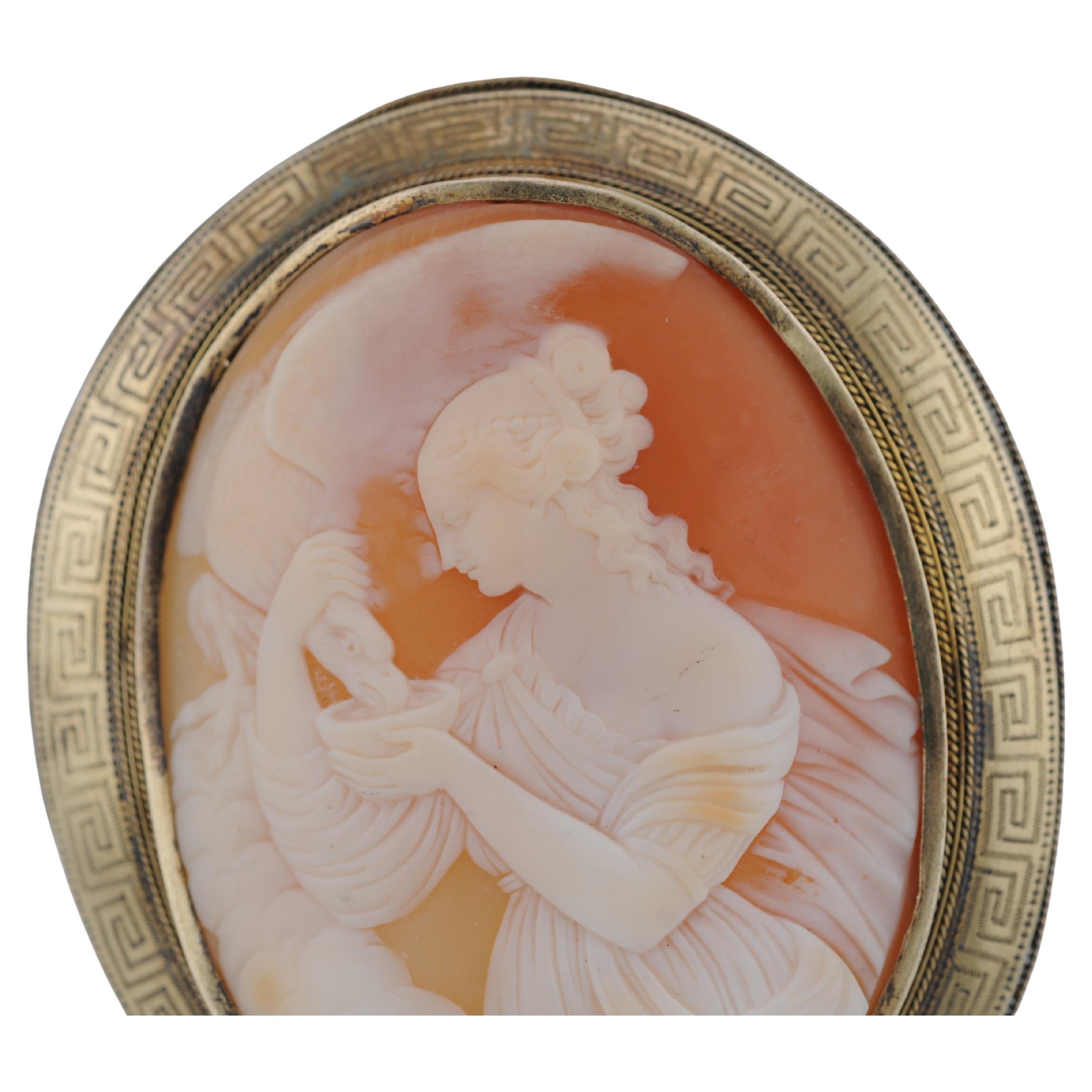 Art Nouveau Spilla antica con cammeo in oro giallo 14 carati e argento finemente intagliato in vendita