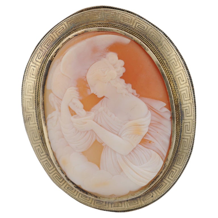 Magnifique Broche Camée Vintage En Très Bon état - Accessoire Femme élégant