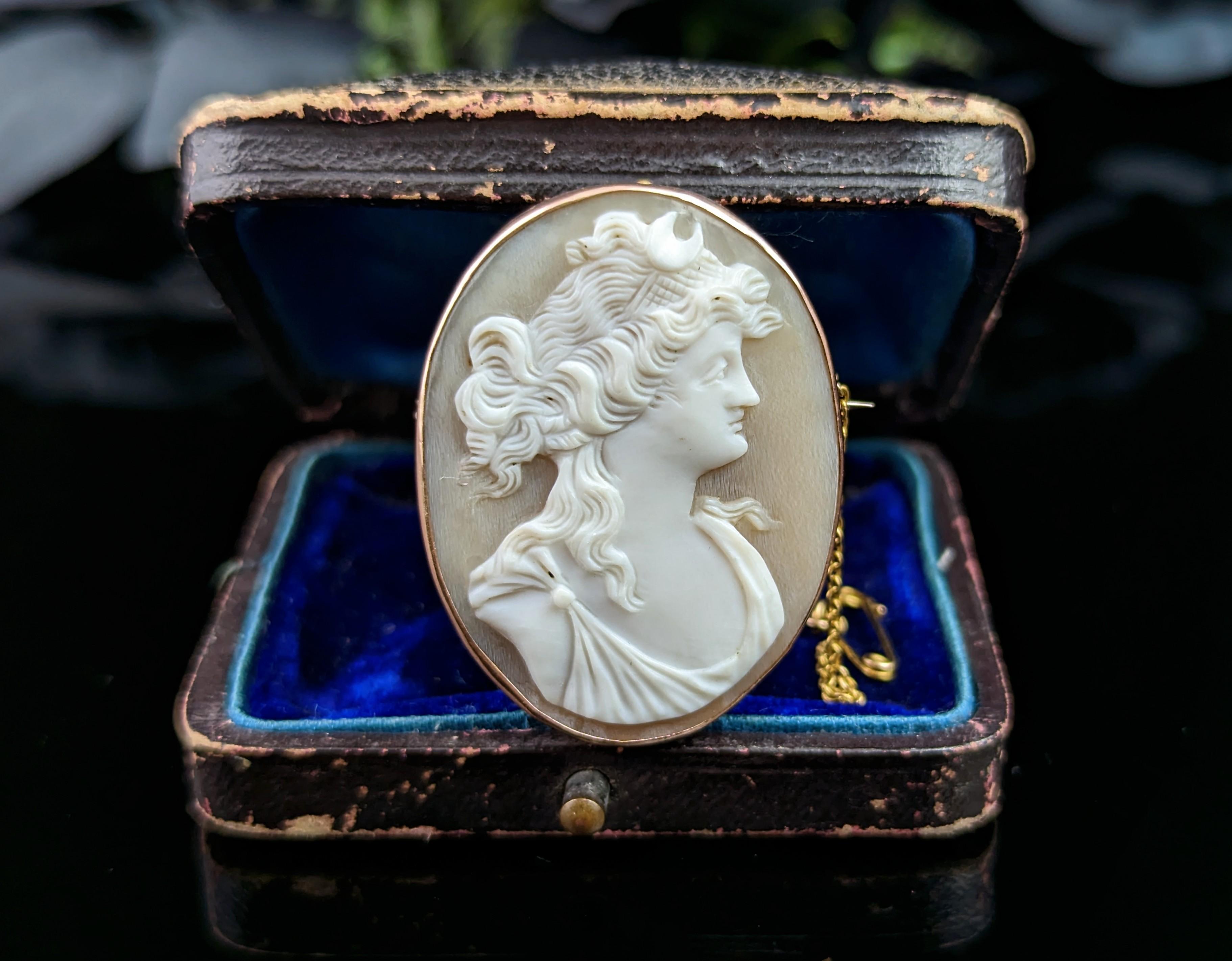 Antique Cameo brooch, Nyx goddess, 9k rose gold  For Sale 2