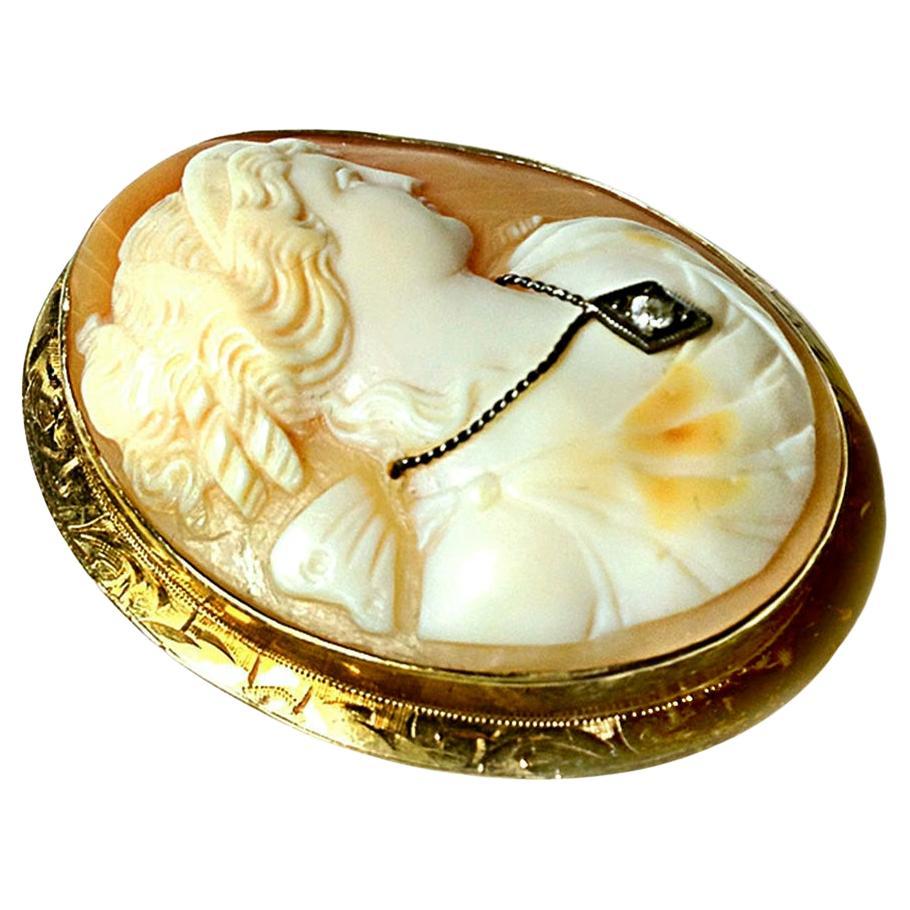 Victorian Antique Cameo Brooch with 14K Gold Frame and Diamond For Sale