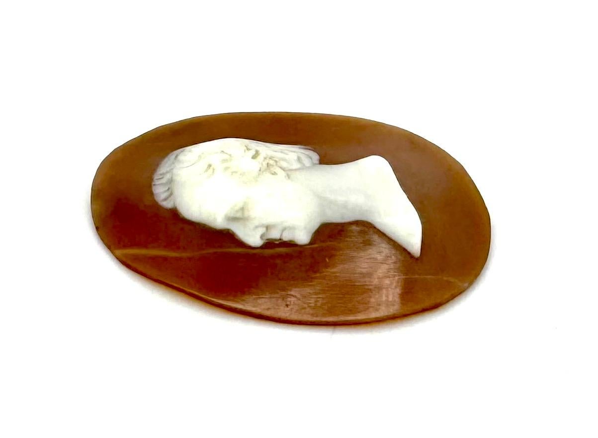 Antique Cameo Portrait Profile of Johann Wolfgang von Goethe (1749-1832) Shell In Good Condition For Sale In Munich, Bavaria