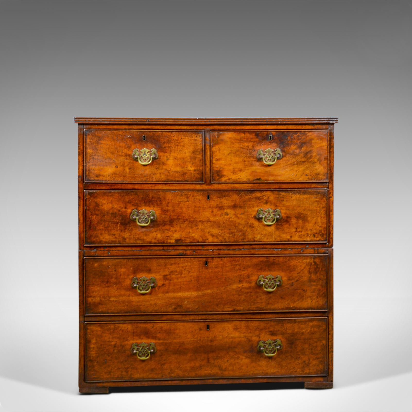 This is an antique Campaign chest of drawers. An English, late Georgian, walnut, narrow chest dating to the late 18th century, circa 1780.

A charming example of a Georgian Campaign chest
Warm hues to the aged walnut in a wax polished