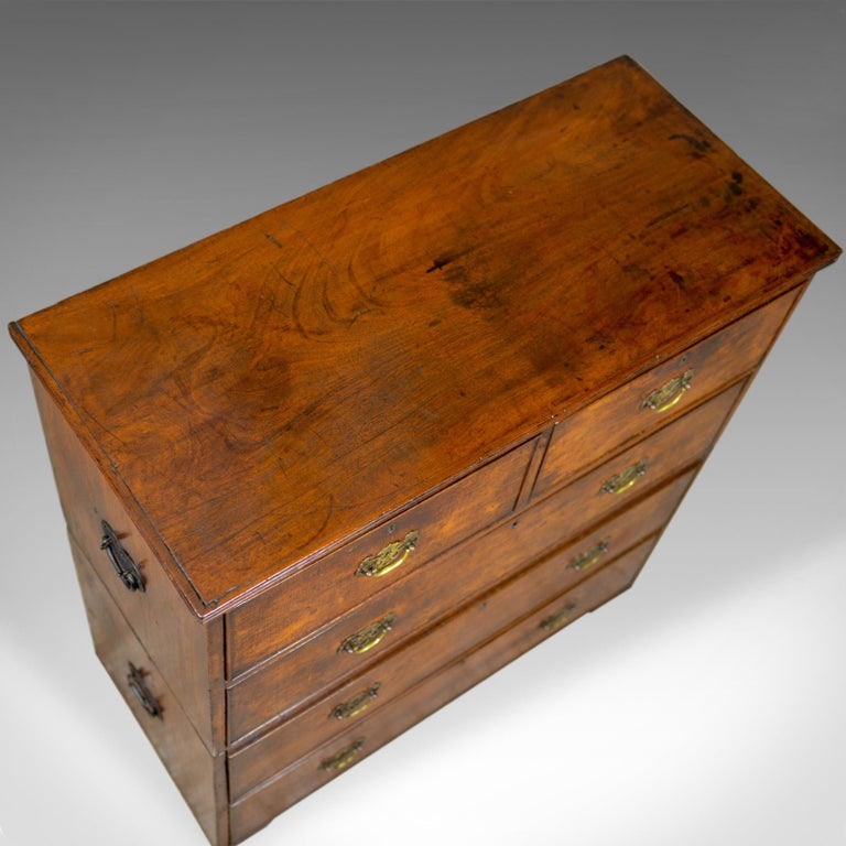 Antique Campaign Chest of Drawers, English, Late Walnut, circa 1780 at 1stDibs