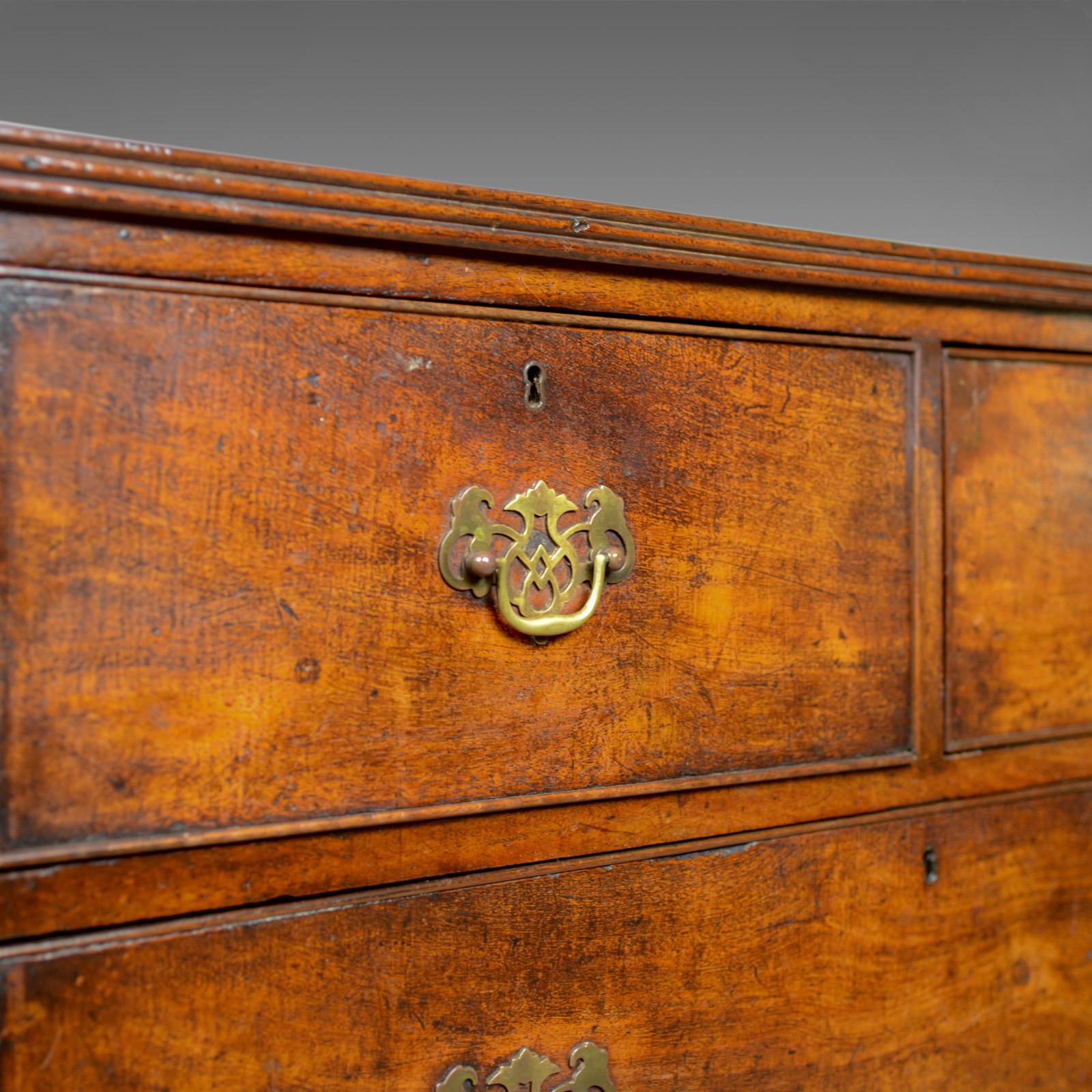 Antique Campaign Chest of Drawers, English, Late Georgian, Walnut, circa 1780 2