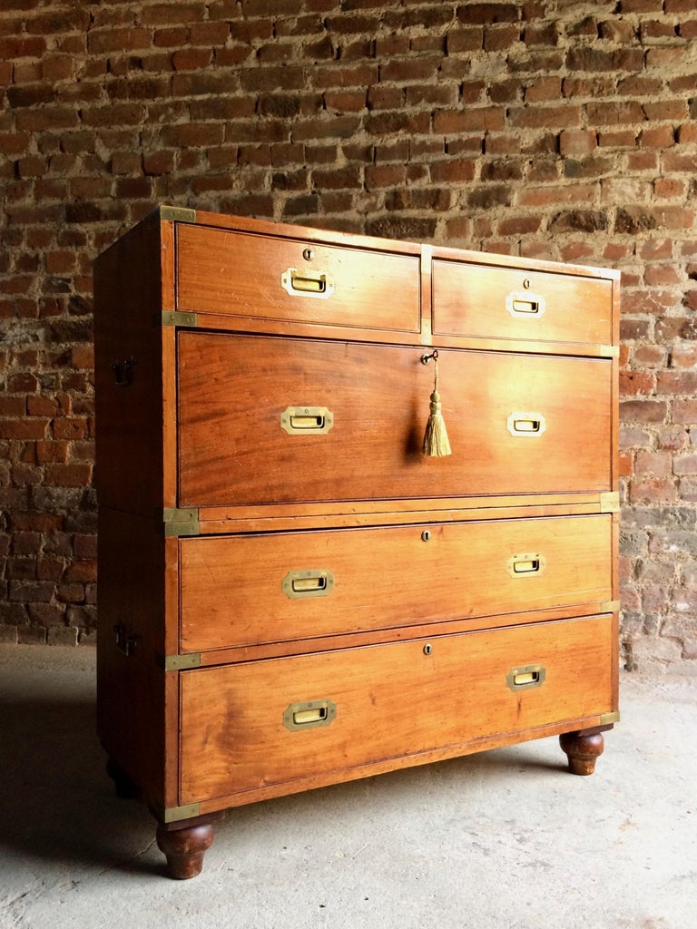 Antique Campaign Chest of Drawers Mahogany Military Victorian No.10 at