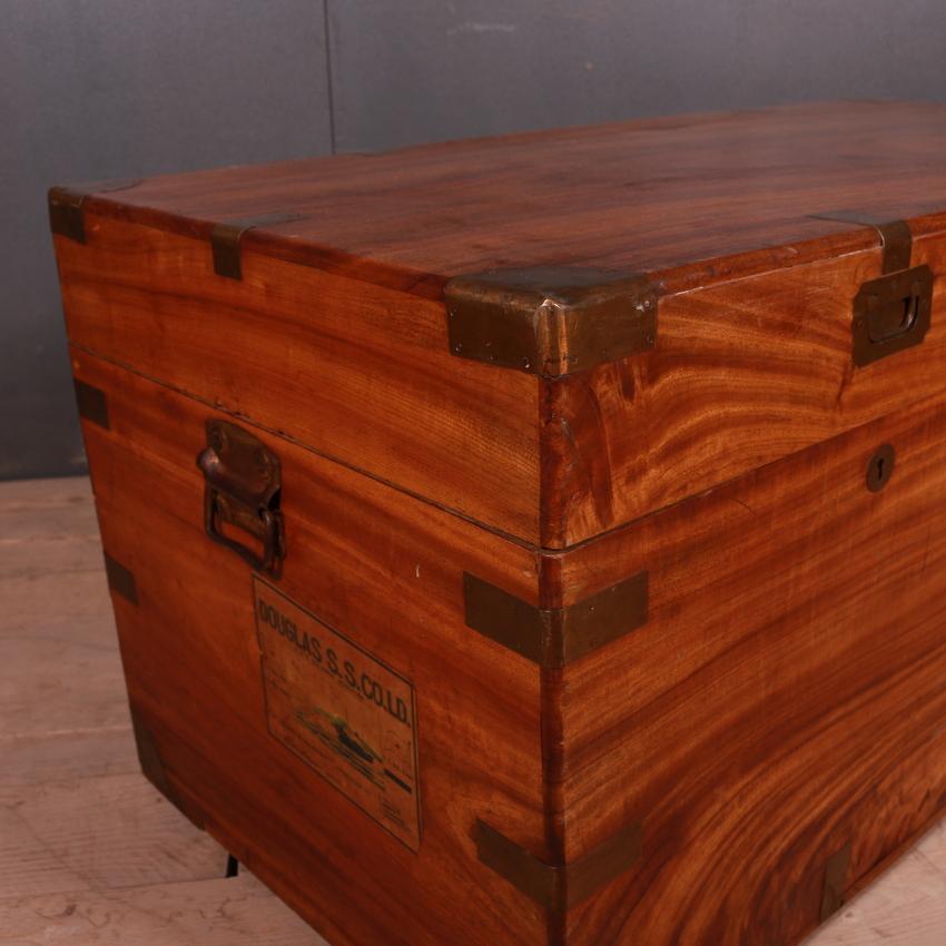 Antique Camphor Blanket Chest In Good Condition In Leamington Spa, Warwickshire