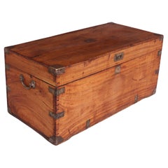 Antique Camphor Wood Box, c 1880