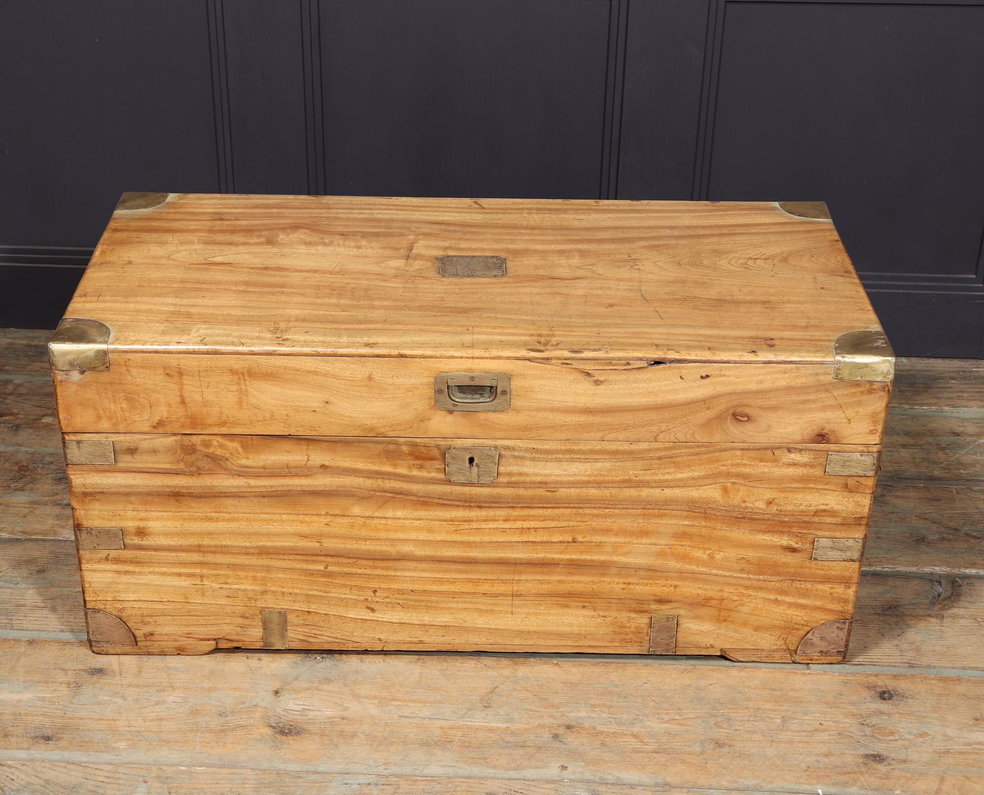 European Antique Camphor Wood box