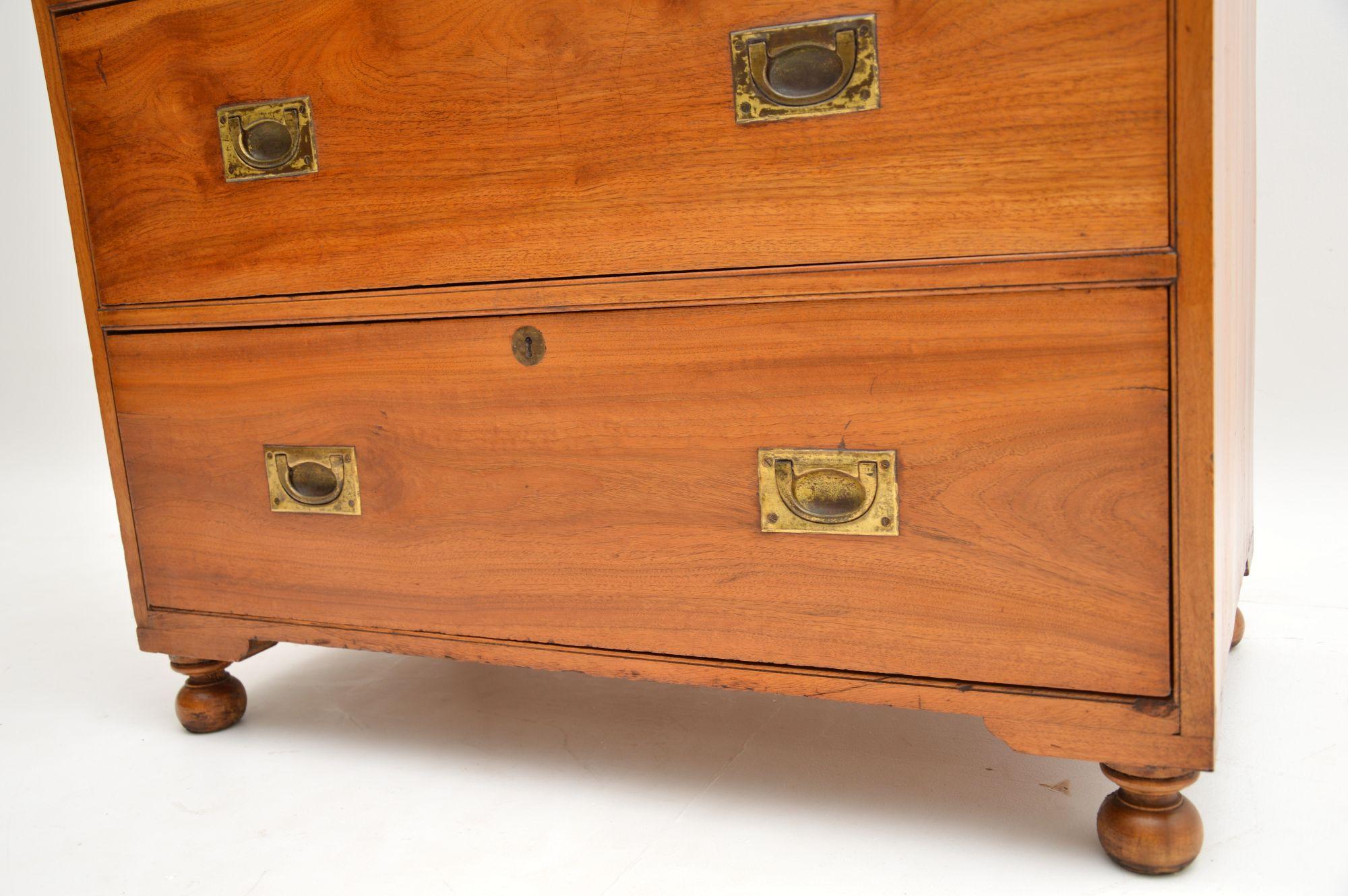 Antique Camphor Wood Campaign Chest of Drawers 2