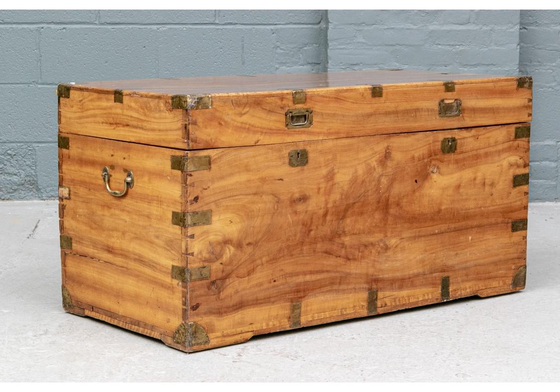 Antique Camphor Wood Campaign Trunk As Cocktail Table For Sale 6