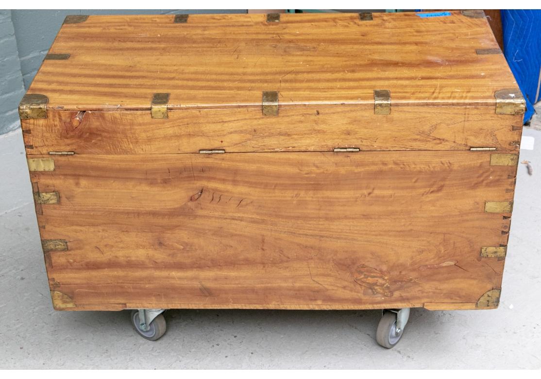 Antique Camphor Wood Campaign Trunk As Cocktail Table For Sale 7