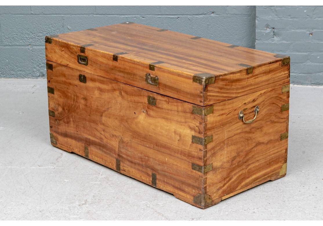Antique Camphor Wood Campaign Trunk As Cocktail Table For Sale 2