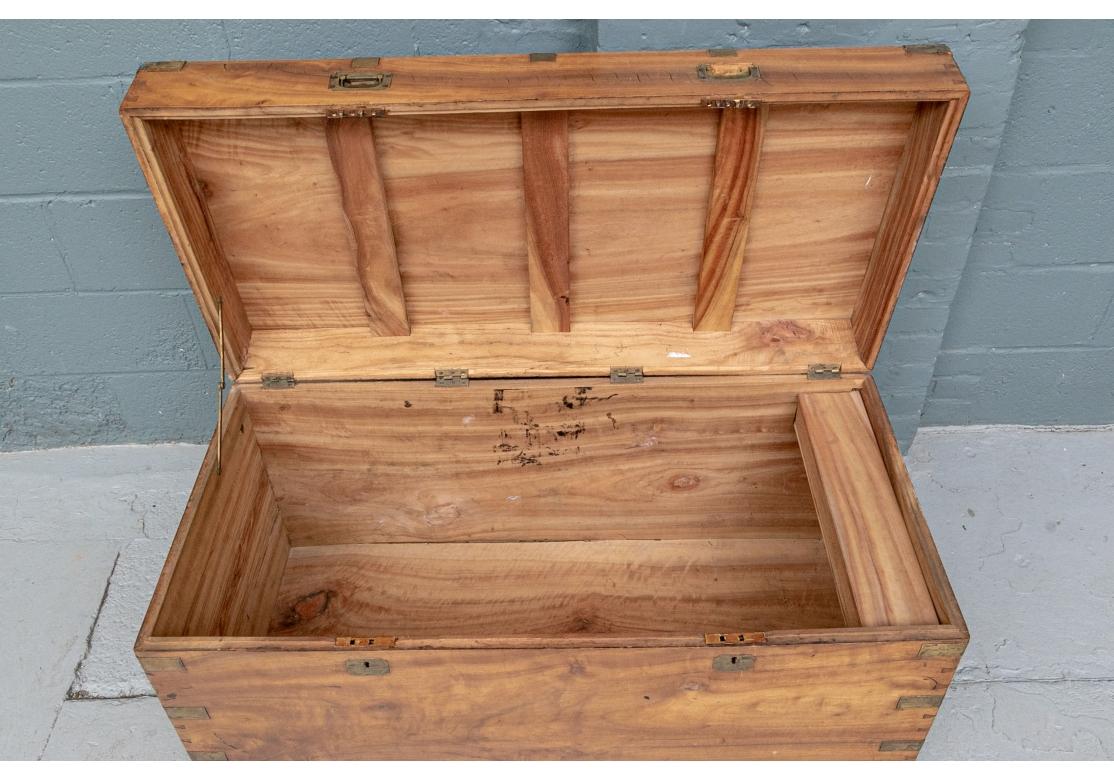 Antique Camphor Wood Campaign Trunk As Cocktail Table For Sale 3