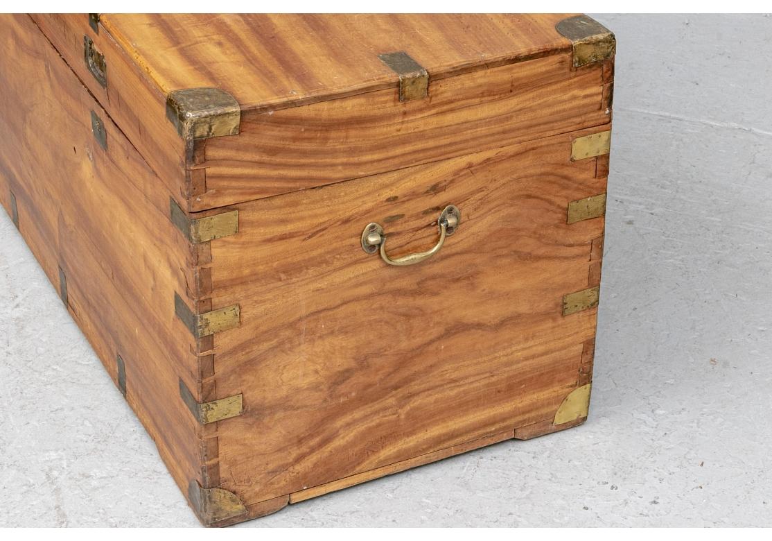 Antique Camphor Wood Campaign Trunk As Cocktail Table For Sale 4