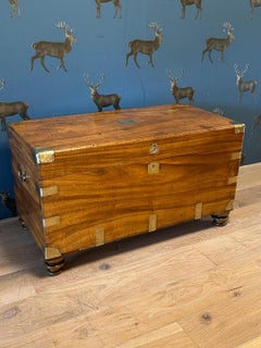 antique camphor wood chest