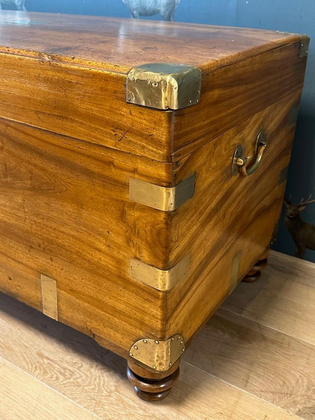 coffre ancien en bois de camphrier Bon état - En vente à Eindhoven, NL