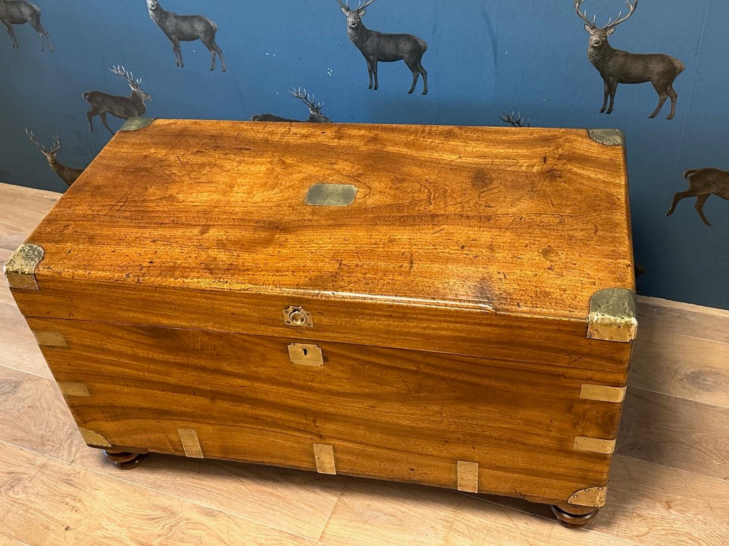 Bois de feuillus coffre ancien en bois de camphrier en vente