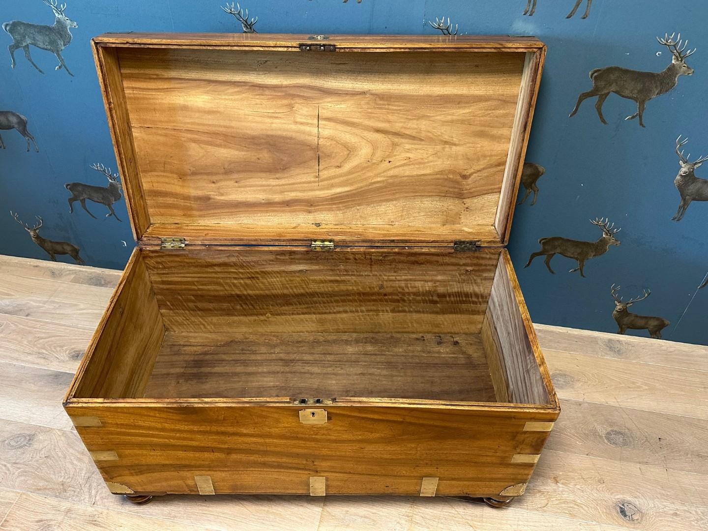 coffre ancien en bois de camphrier en vente 1